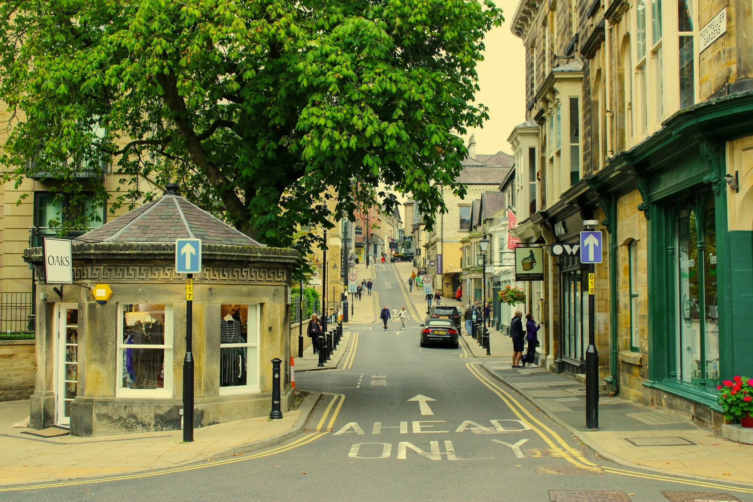 A street scene with shops, cars, and pedestrians in a hilly area, featuring a small stone building with display windows and a large green tree.