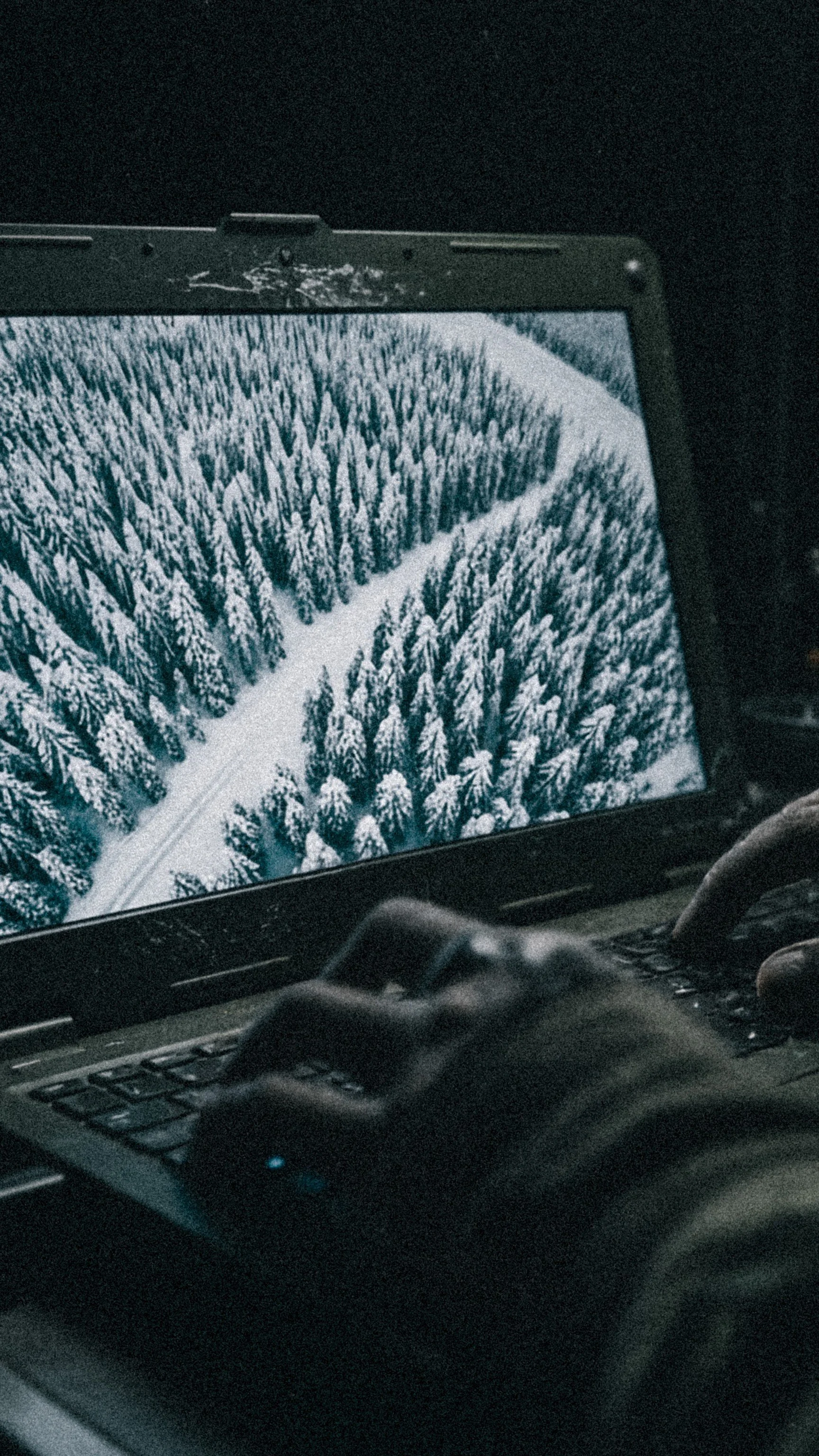 Snowy forest landscape on a laptop screen