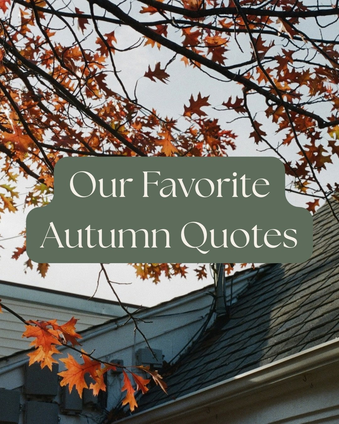 Our favorite autumn quotes to usher in your cozy season&hellip; Wait&hellip;.😉