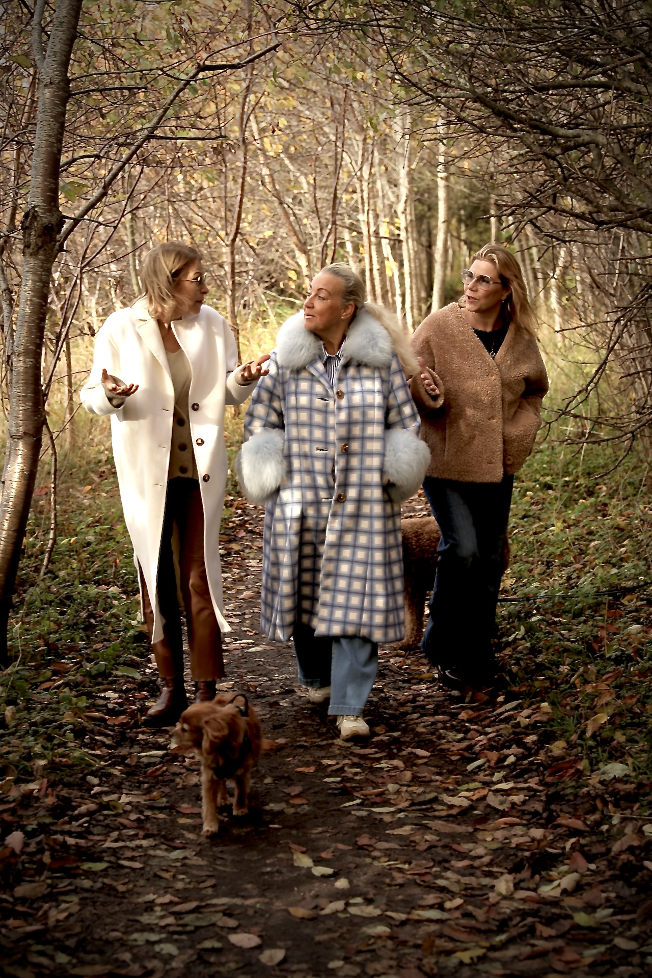 Tre kollegor som promenerar i skogen