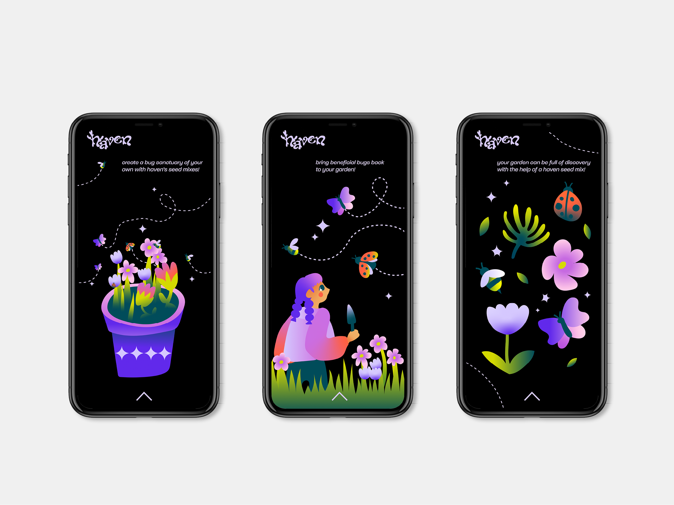 Haven, an Illustrated Seed Brand