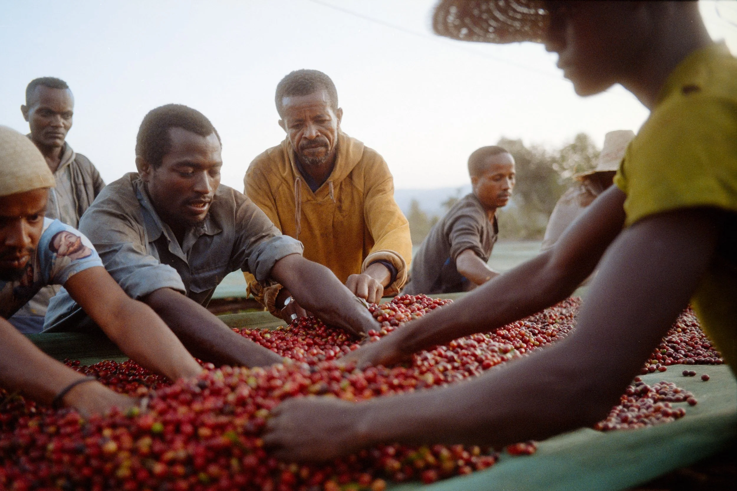 260106_Yallah_Ethiopia-016.jpg