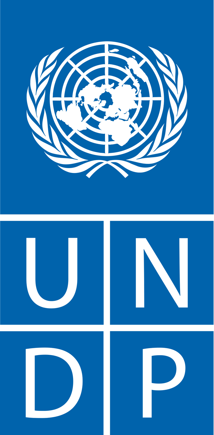 United Nations Development Program (UNDP) — HarvardMUN Canada
