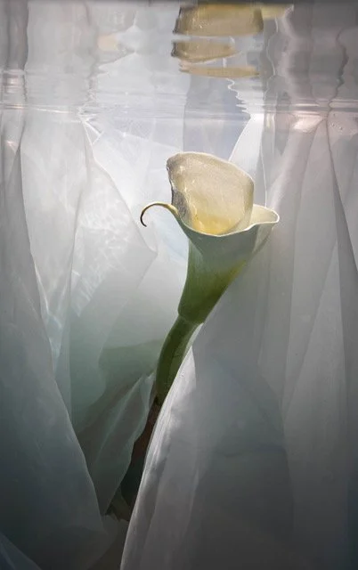 Roche_Luna_02_photographic pigment print_25.75x36x1_2022_$2400.jpeg