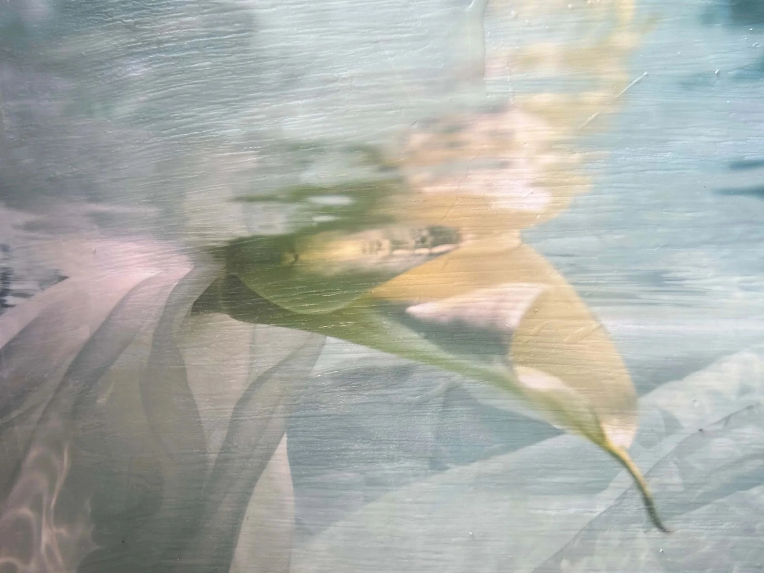 Calla Drift 30 x 40