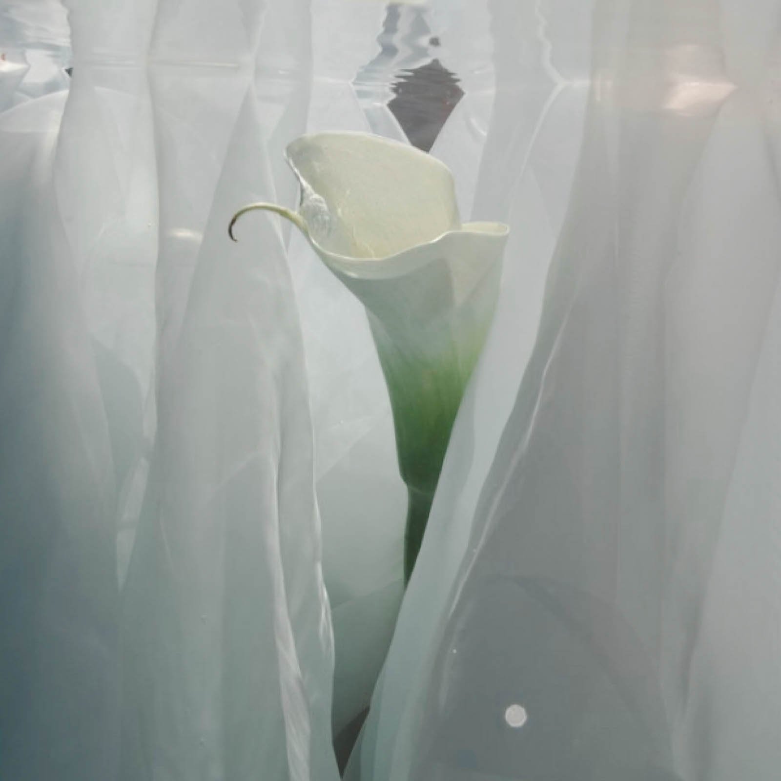 alexandra.jpg (Copy)