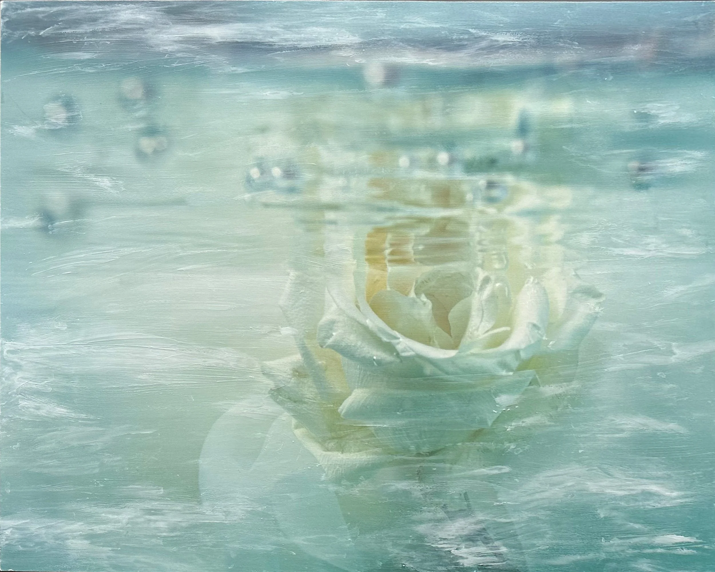 White Rose 36 x 48