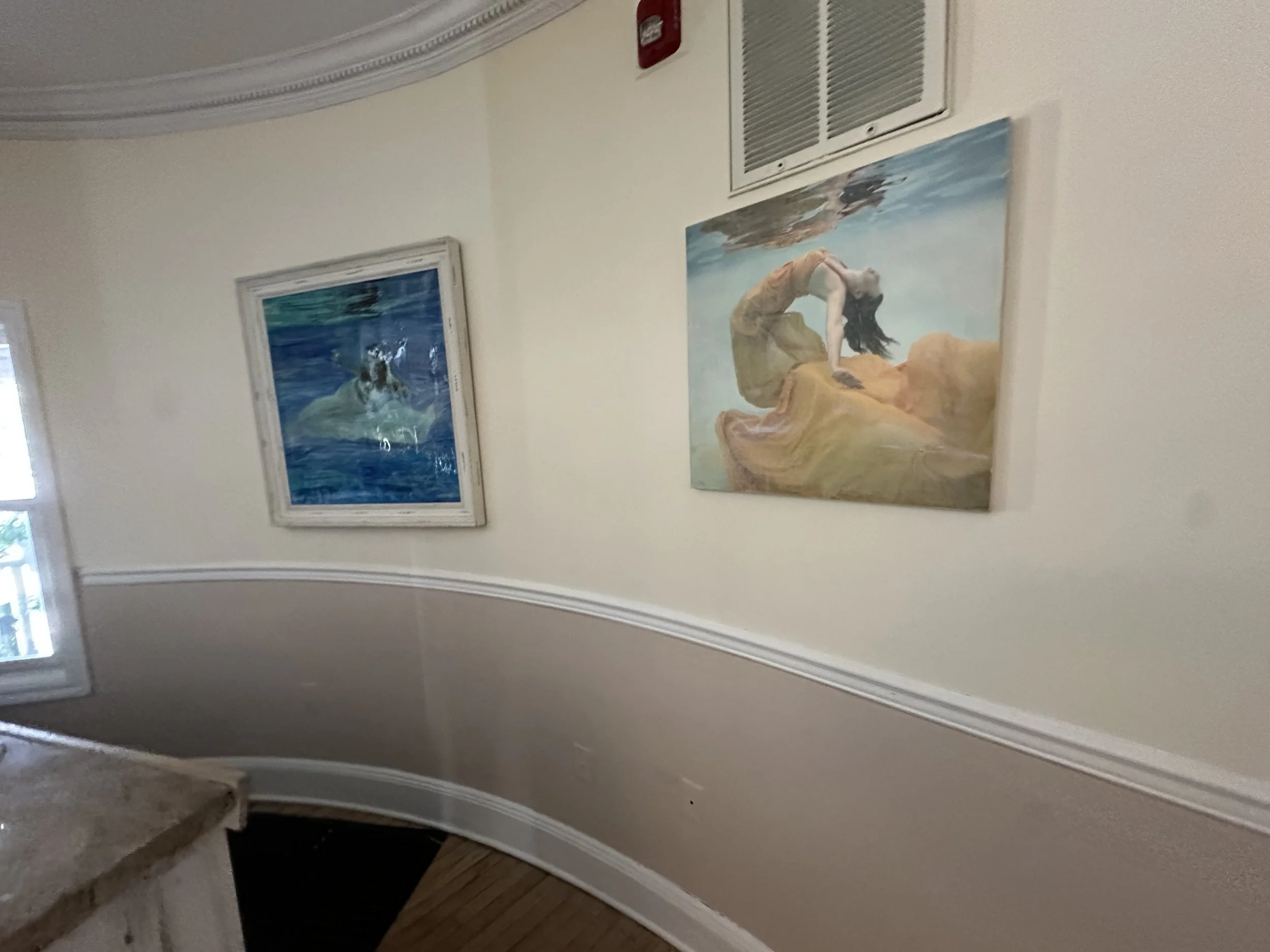 IMG_4326.jpeg