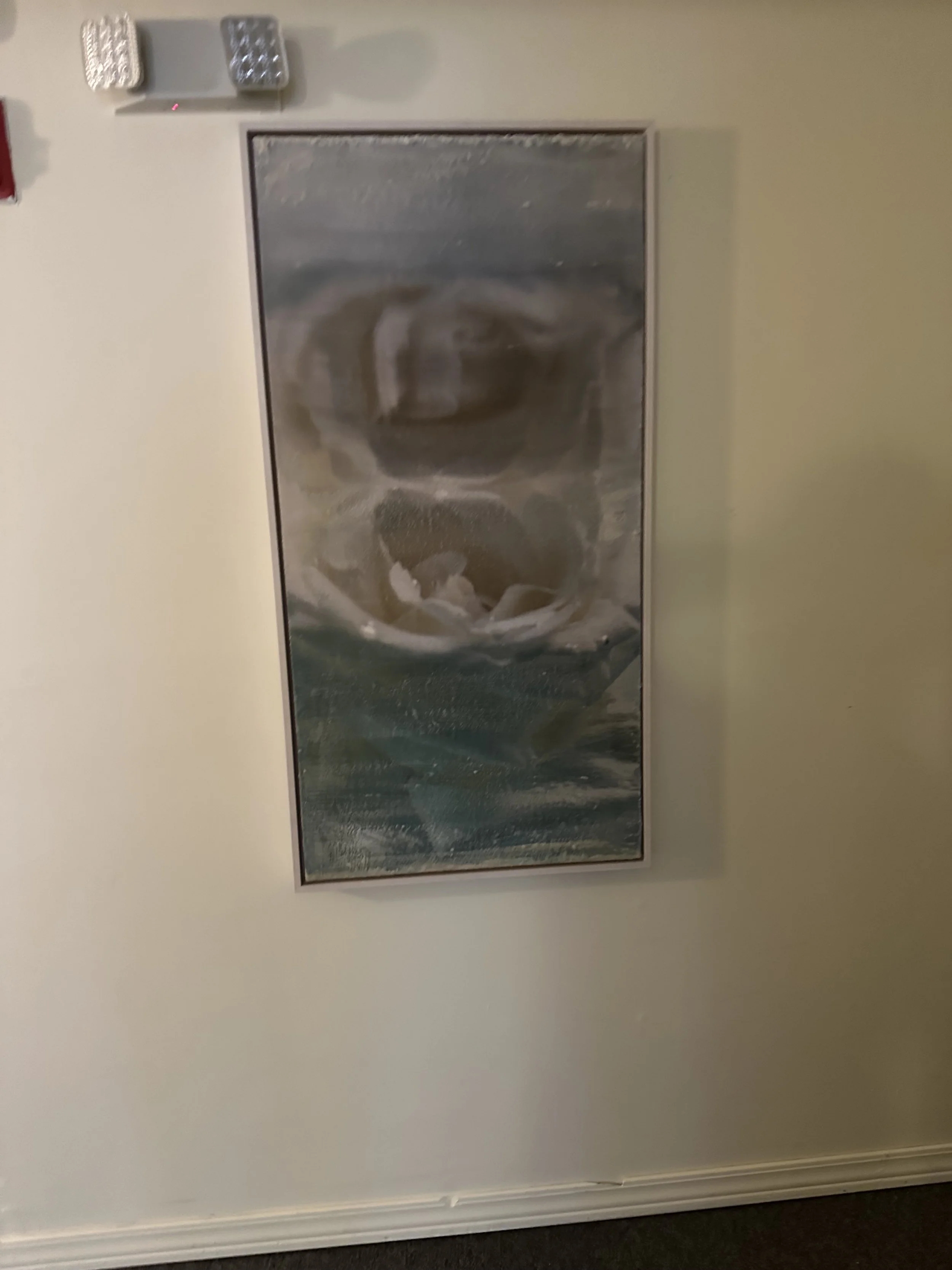 IMG_4558.jpeg