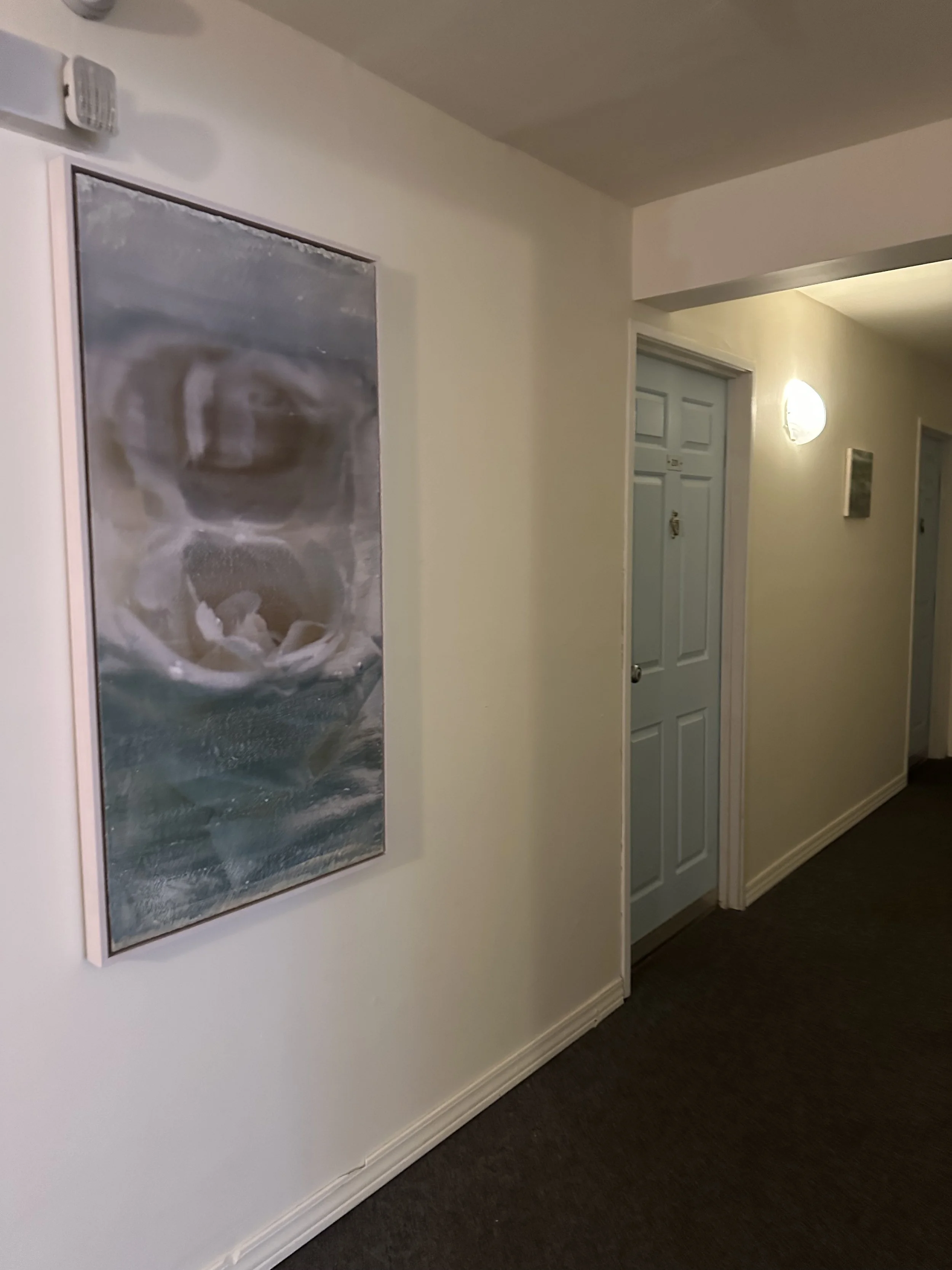 IMG_4547.jpeg
