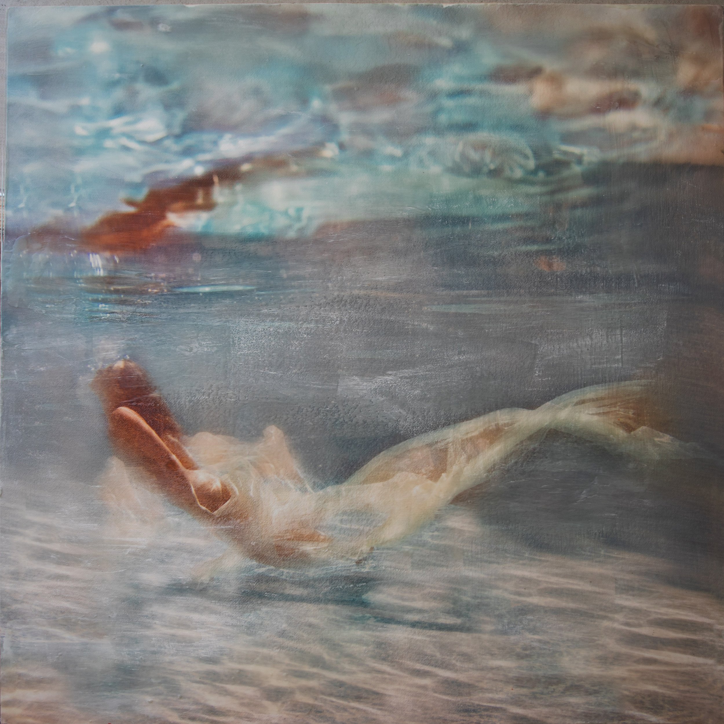 Erato · 36 × 36 inches