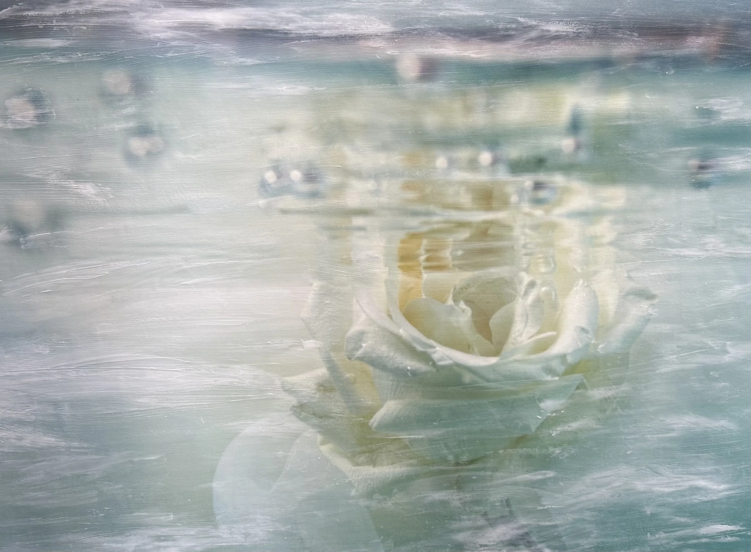 IMG_5977.jpeg (Copy)