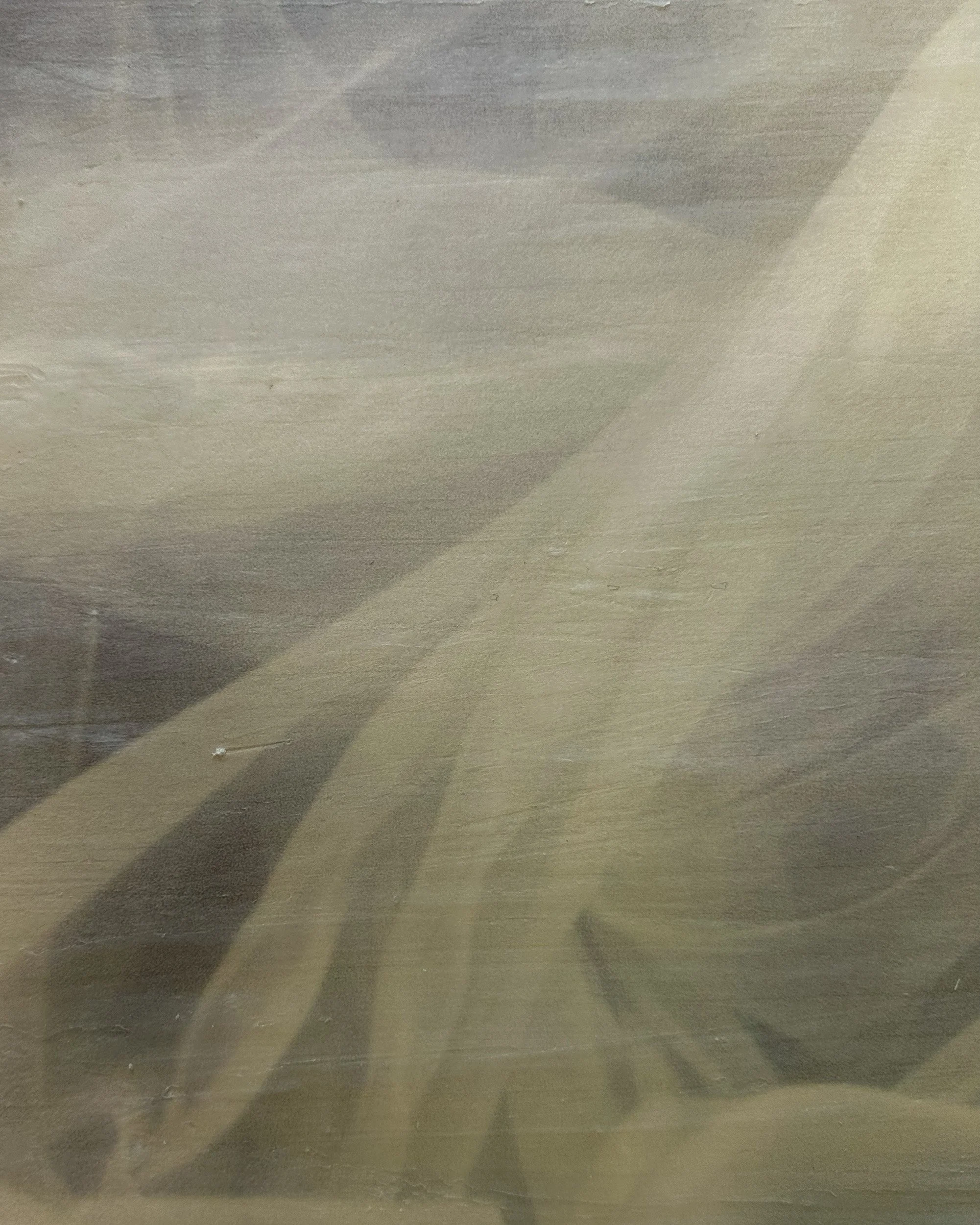 web Protomedia+ 2 detail .jpg