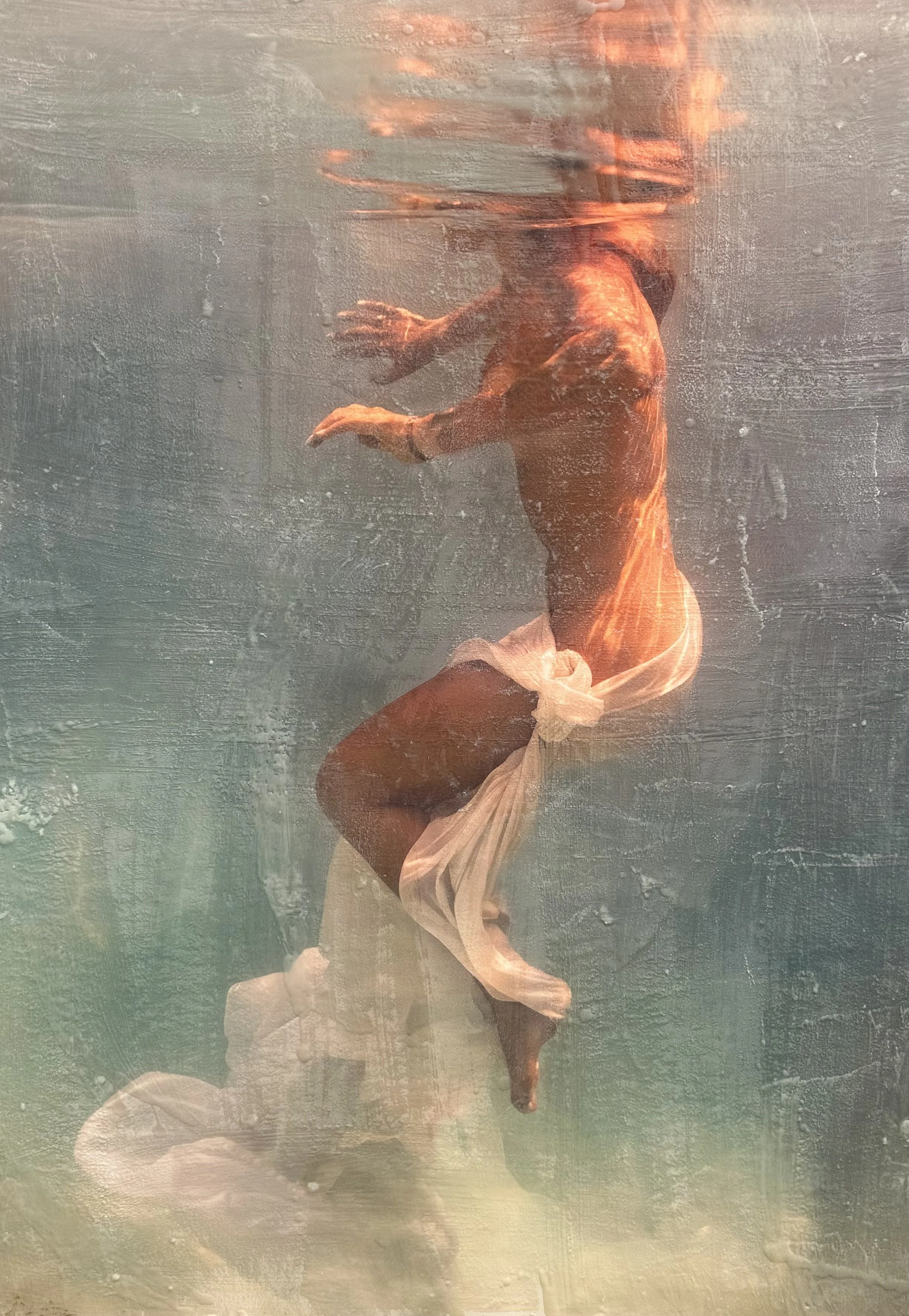 Galene Aurea — golden-toned variation —  40 x 30 | inquire