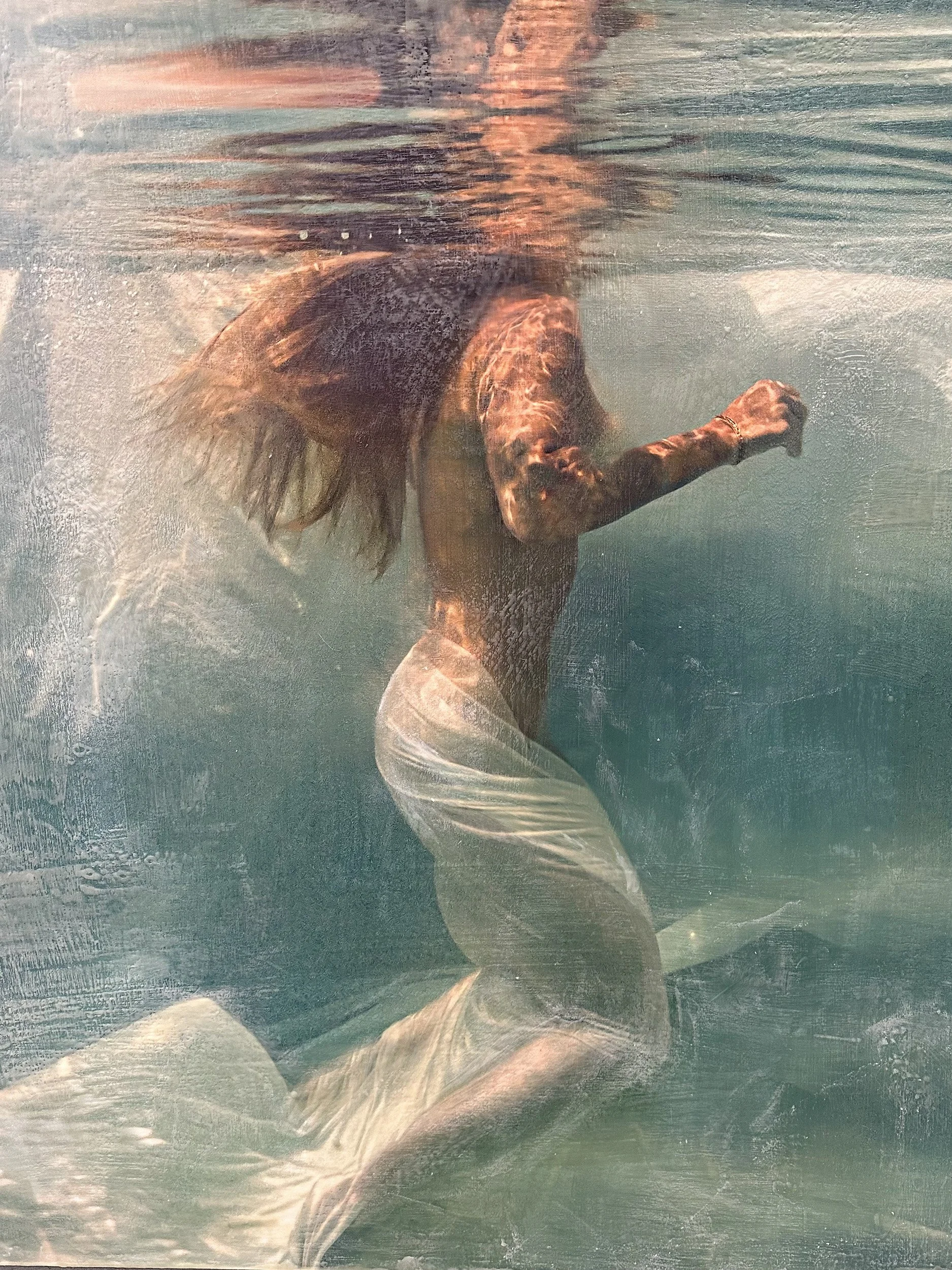 Private Collection  - Melliads — 52× 44
