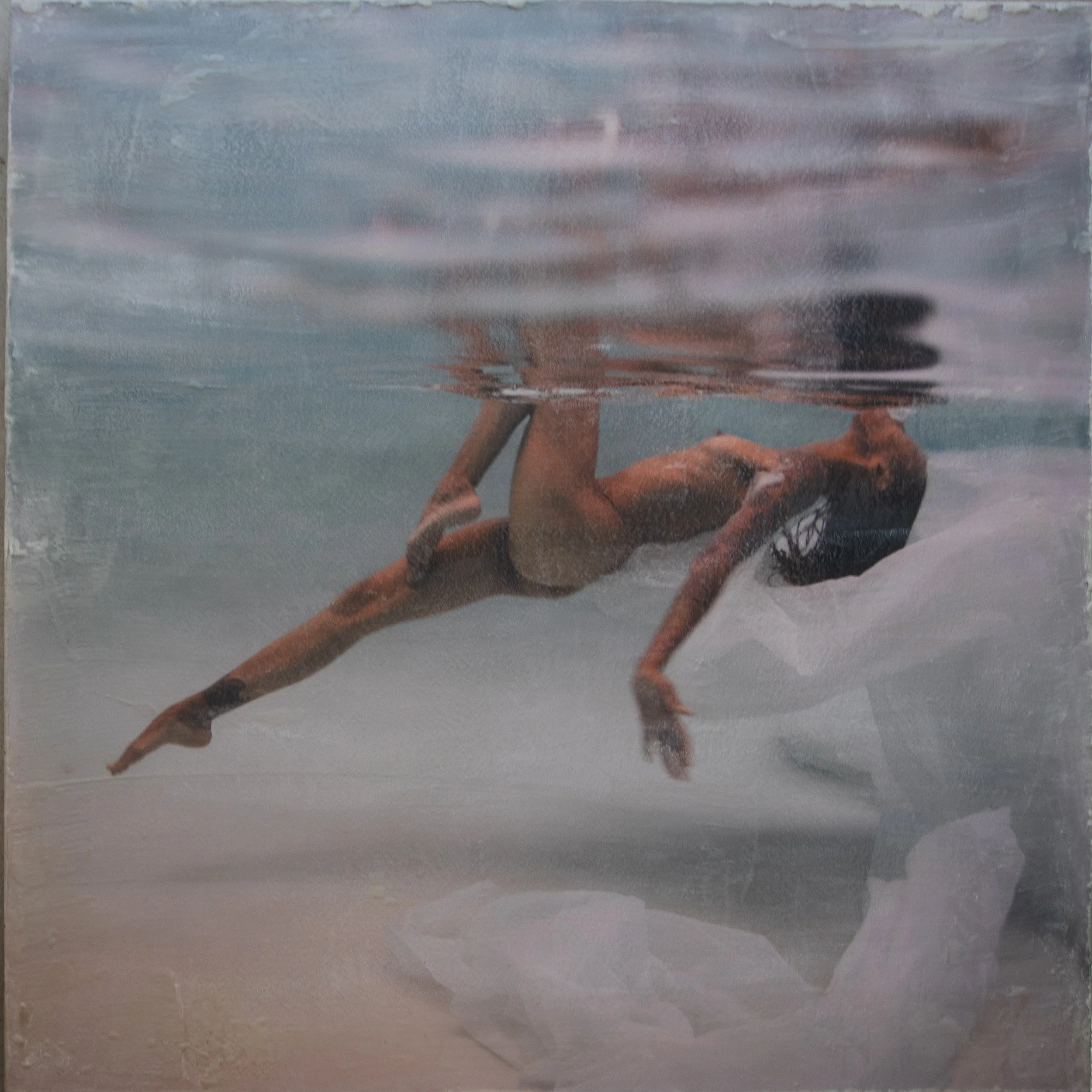 Nerine · 36 × 36 inches