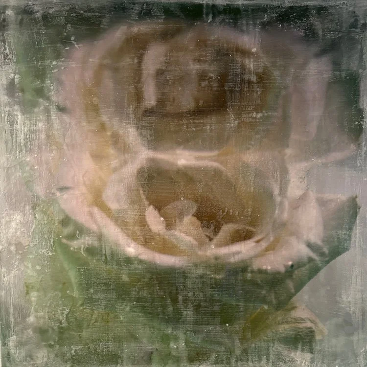 Roche_Rose_+Encaustic+Mixed+Media_36+x+36+_2023_5300.jpg