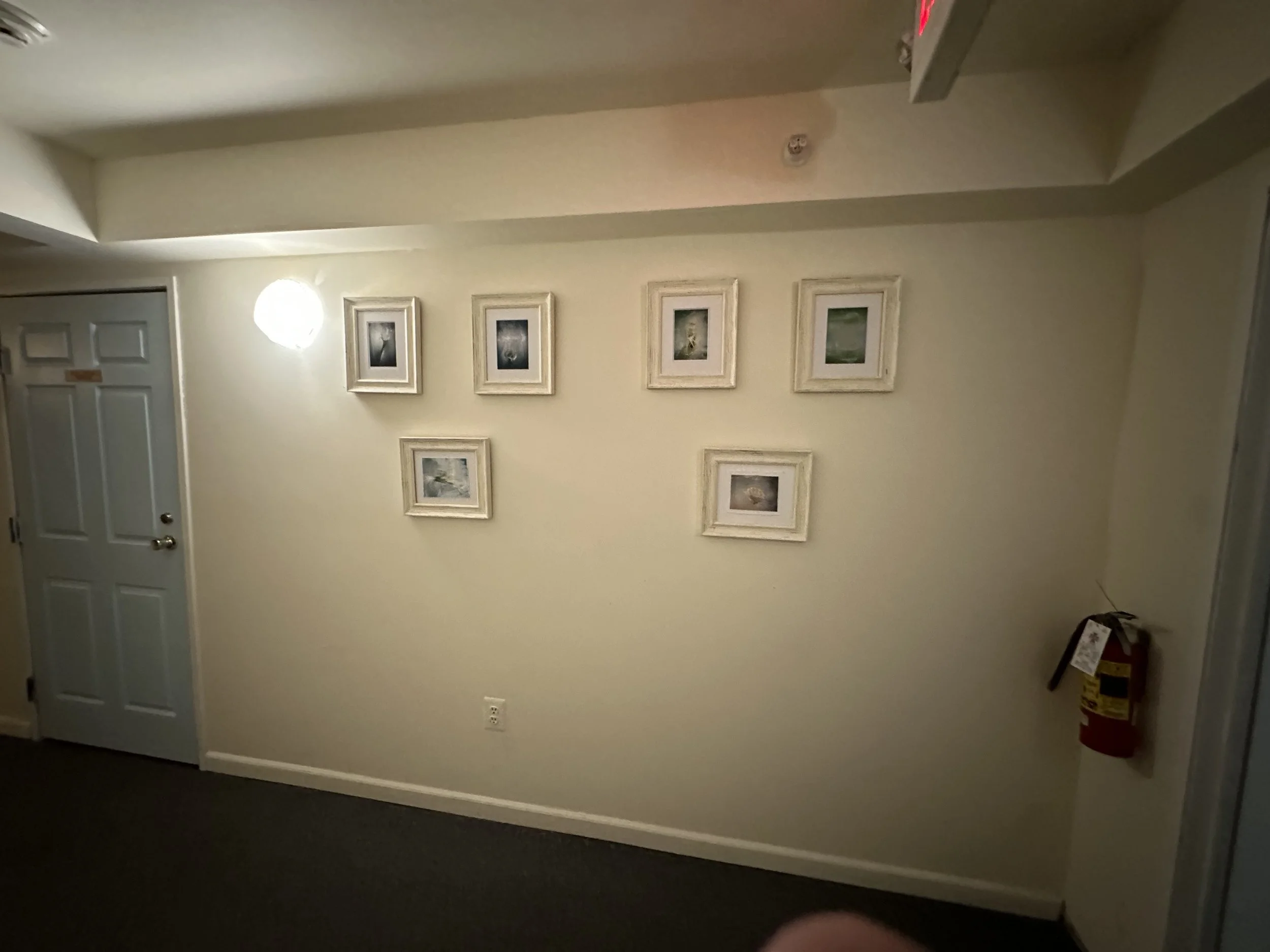 IMG_4992.jpeg