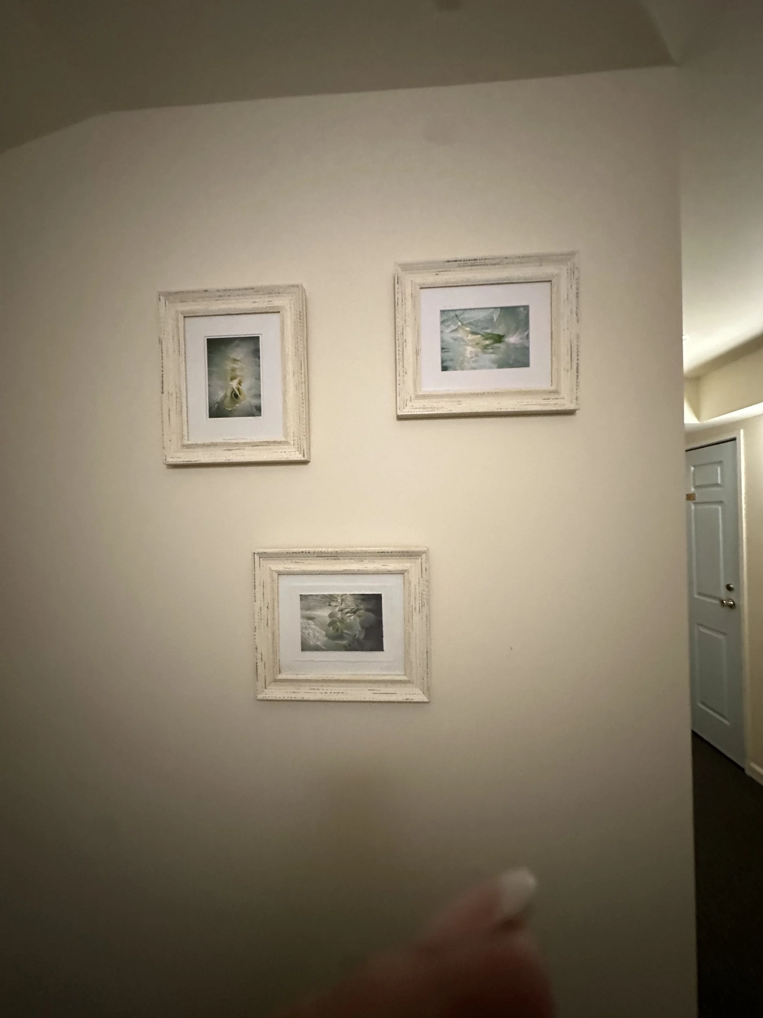 IMG_4991.jpeg