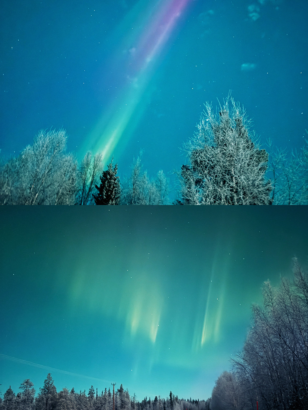 Two photographs of the northern lights over a snowy forest landscape at night.