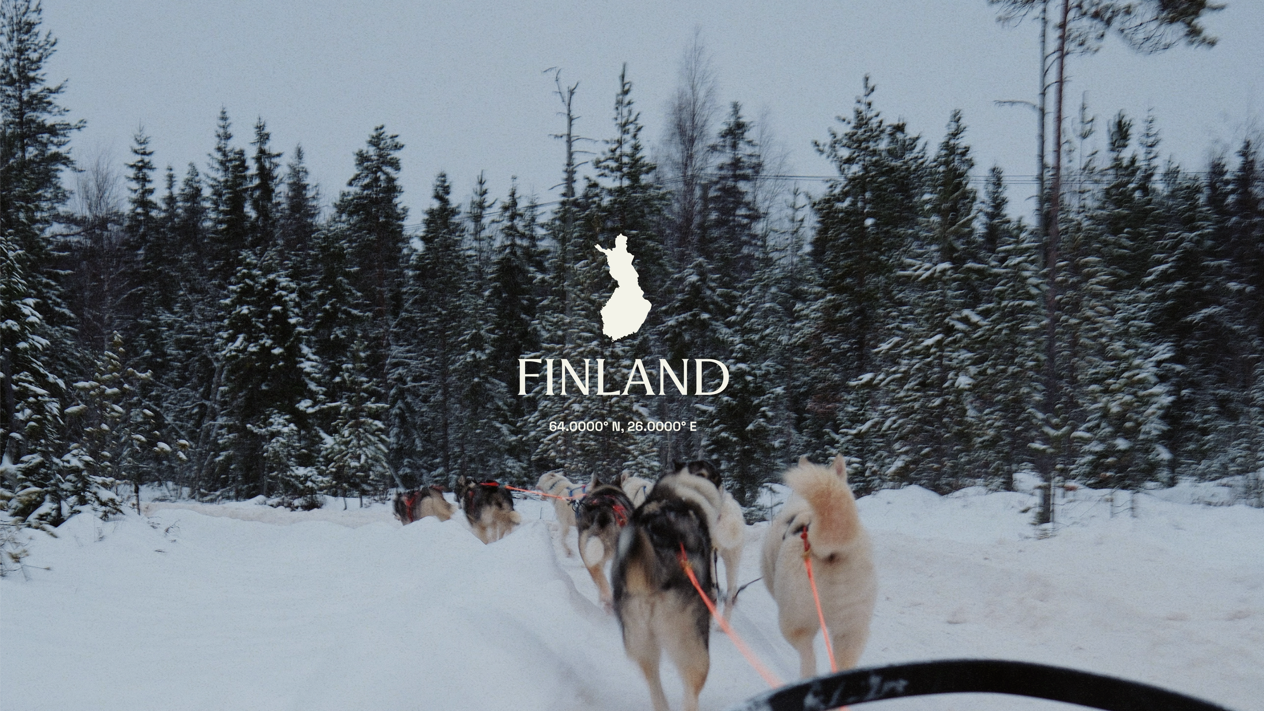A snow-covered forest in Finland with a team of sled dogs pulling a sled.