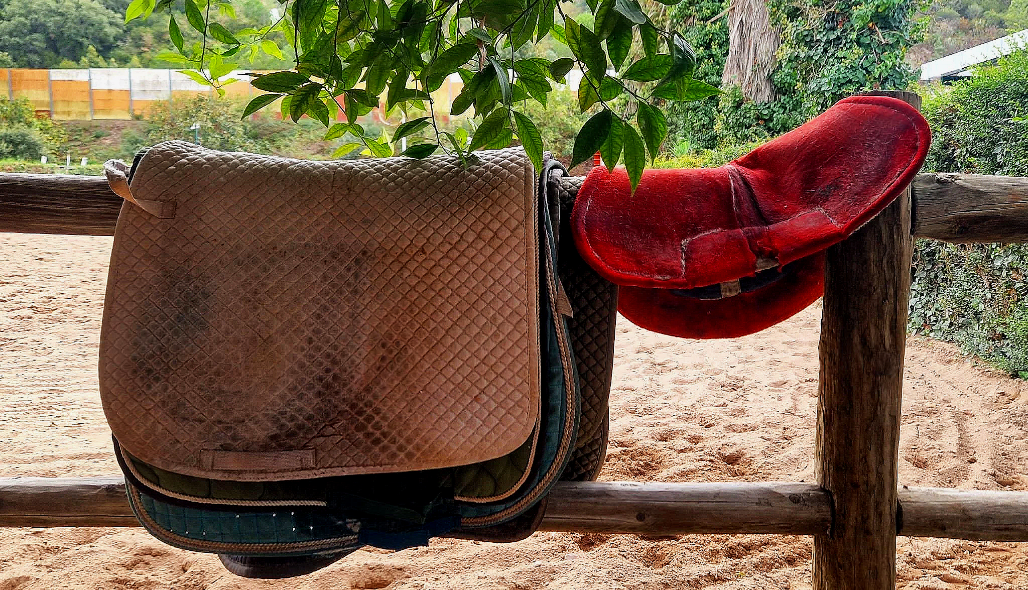 A saddle pad and a red saddle hanging on a wooden fence, with a sandy ground and greenery in the background.