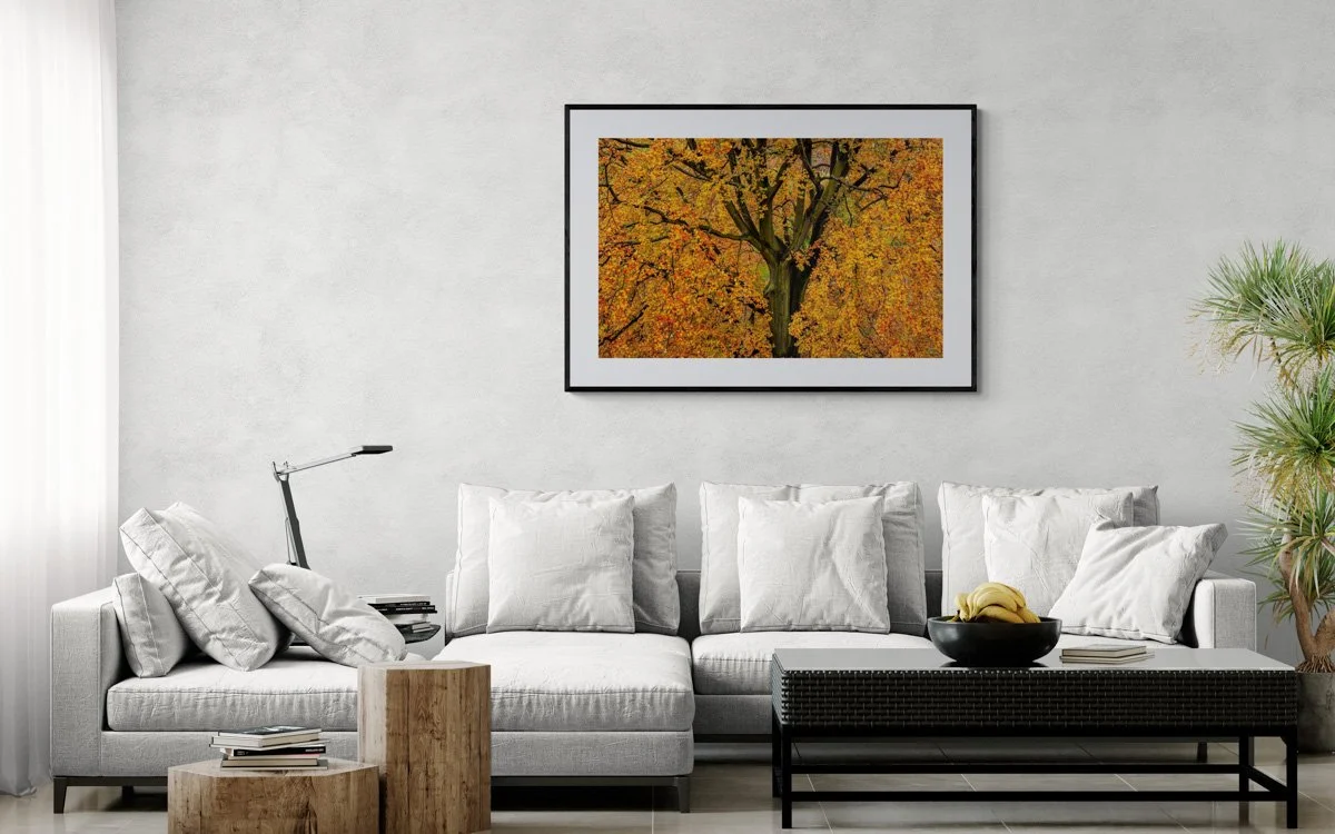 modern-living-room-with-a-sofa-and-a-large-plant (2).jpg