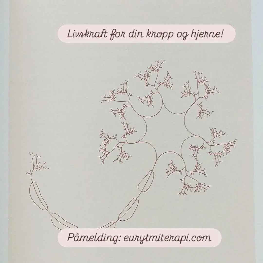 Fredag 5.september starter workshopen - Forebygg demens 🧡 velkommen!