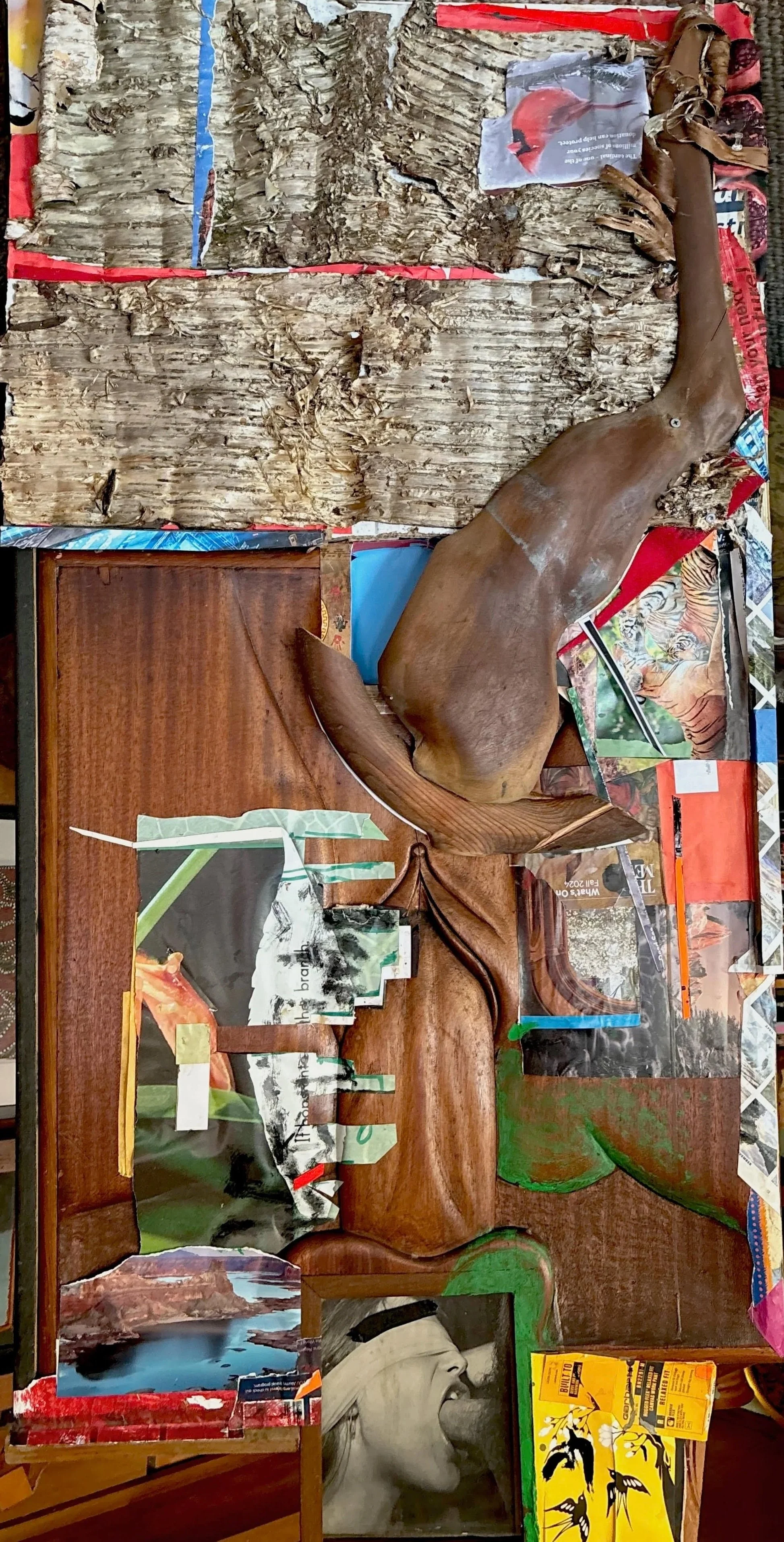 bill hochhausen nasty birch bark mixed media