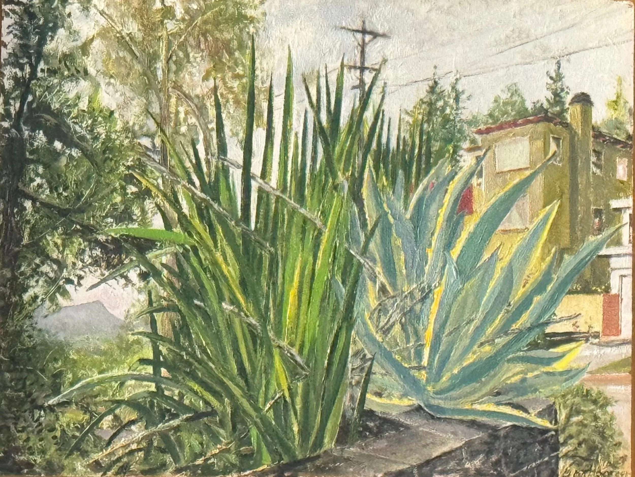 bill hochhausen agave cactus landscape from observation contemporary oil painting.jpg