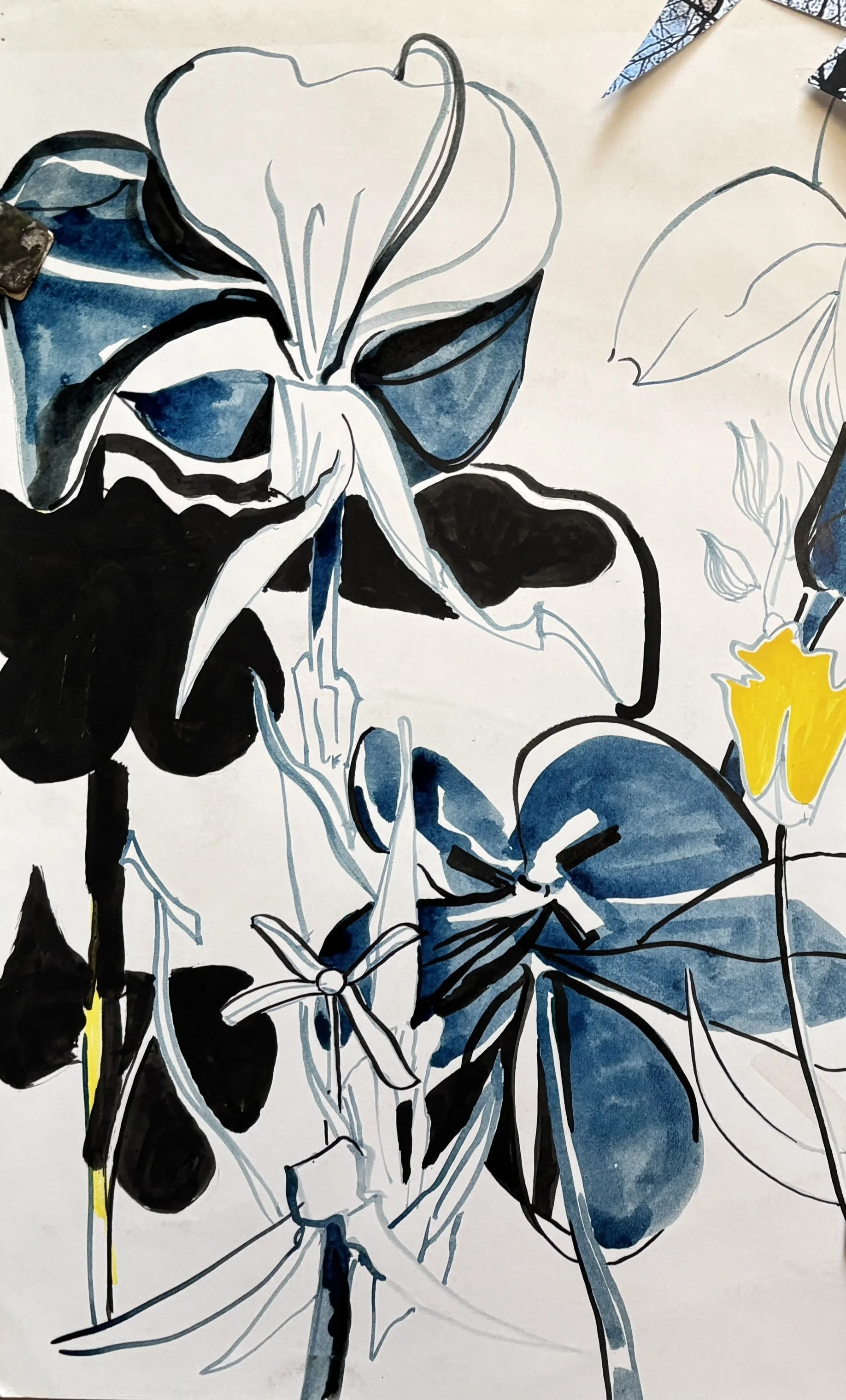   “Black N Blue Tulips”  