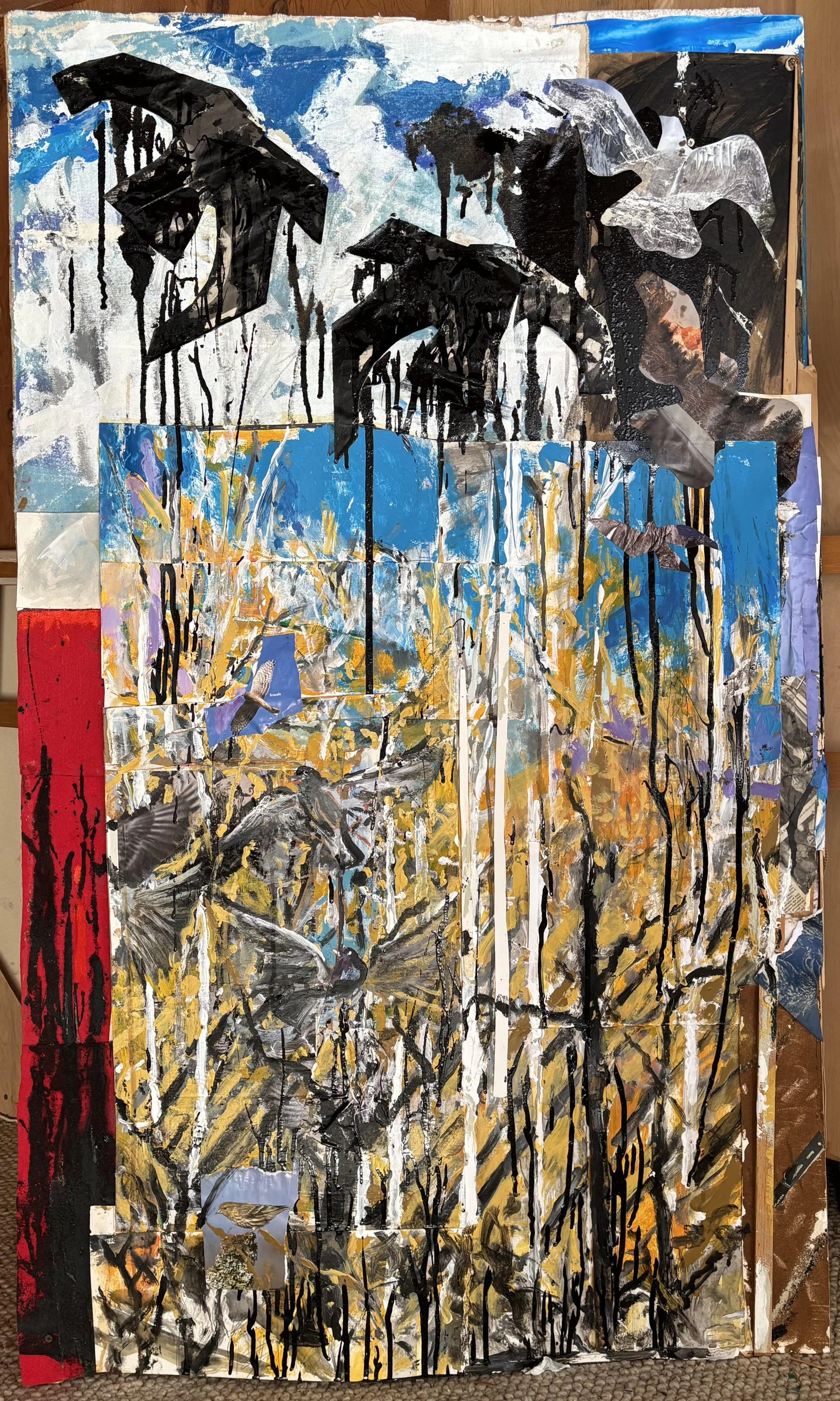 bill hochhausen contemporary art bird oil disaster painting.jpg