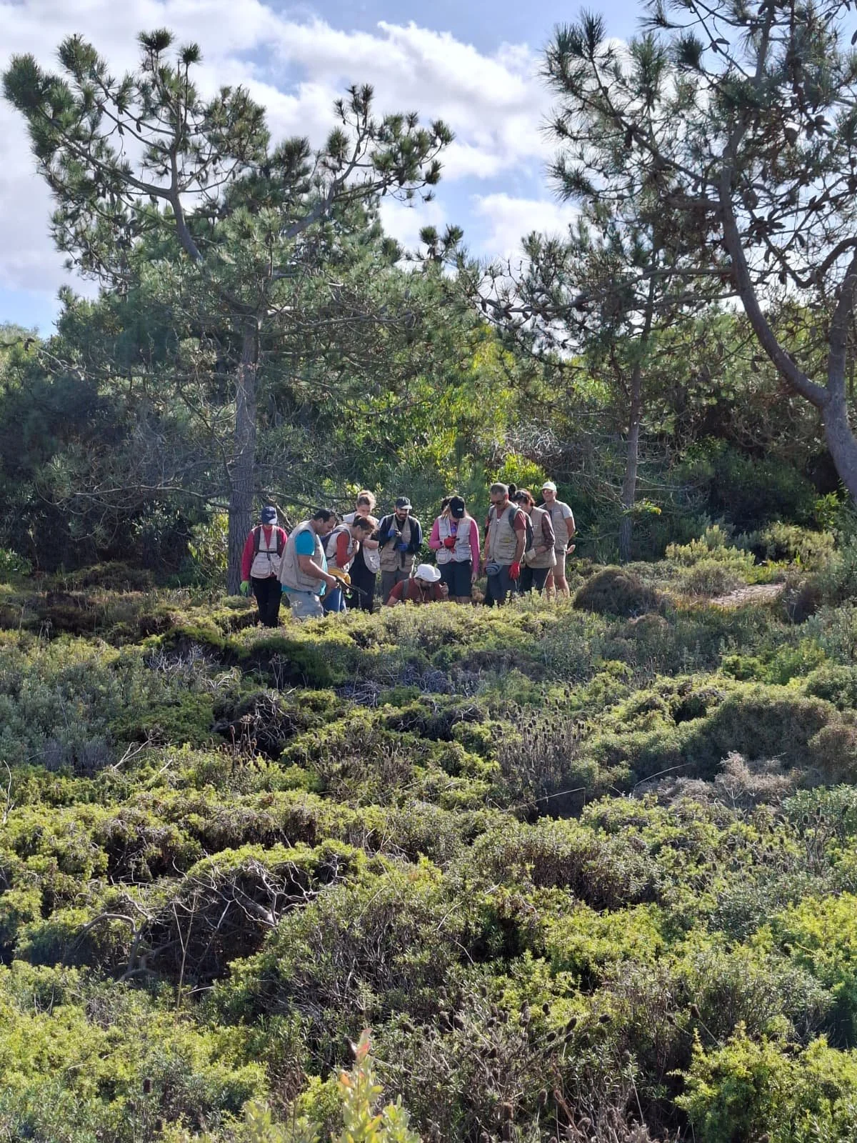 Volunteers in the Mira region