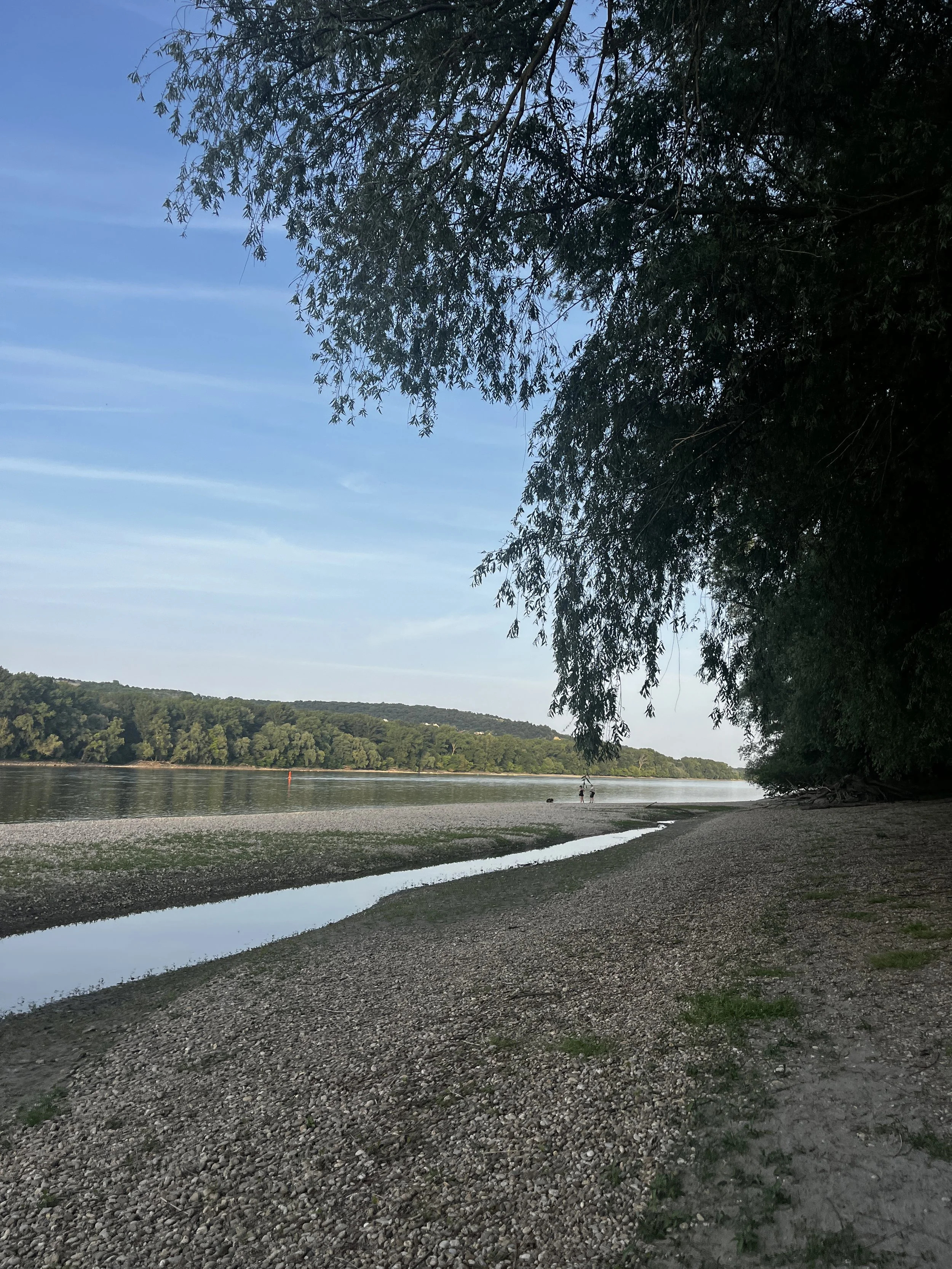 The gravel beaches along the Danube