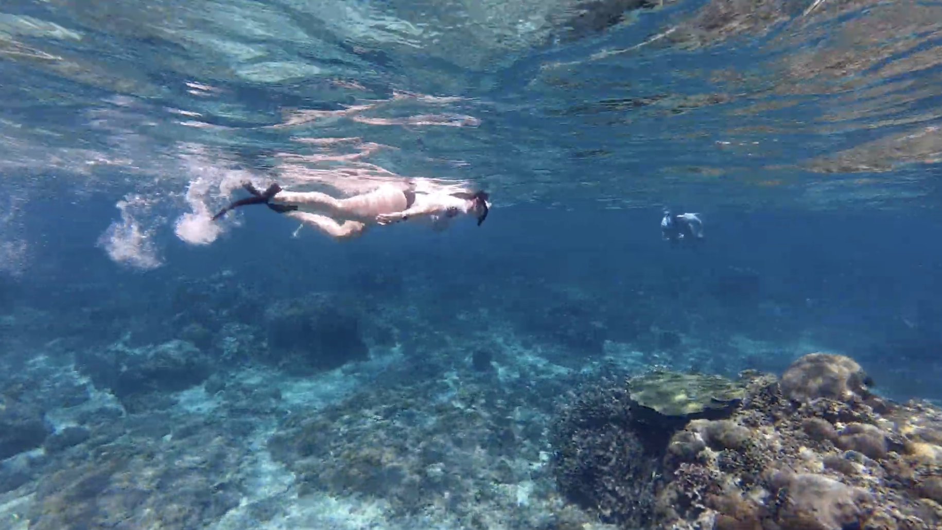 A guest snorkelling above corals