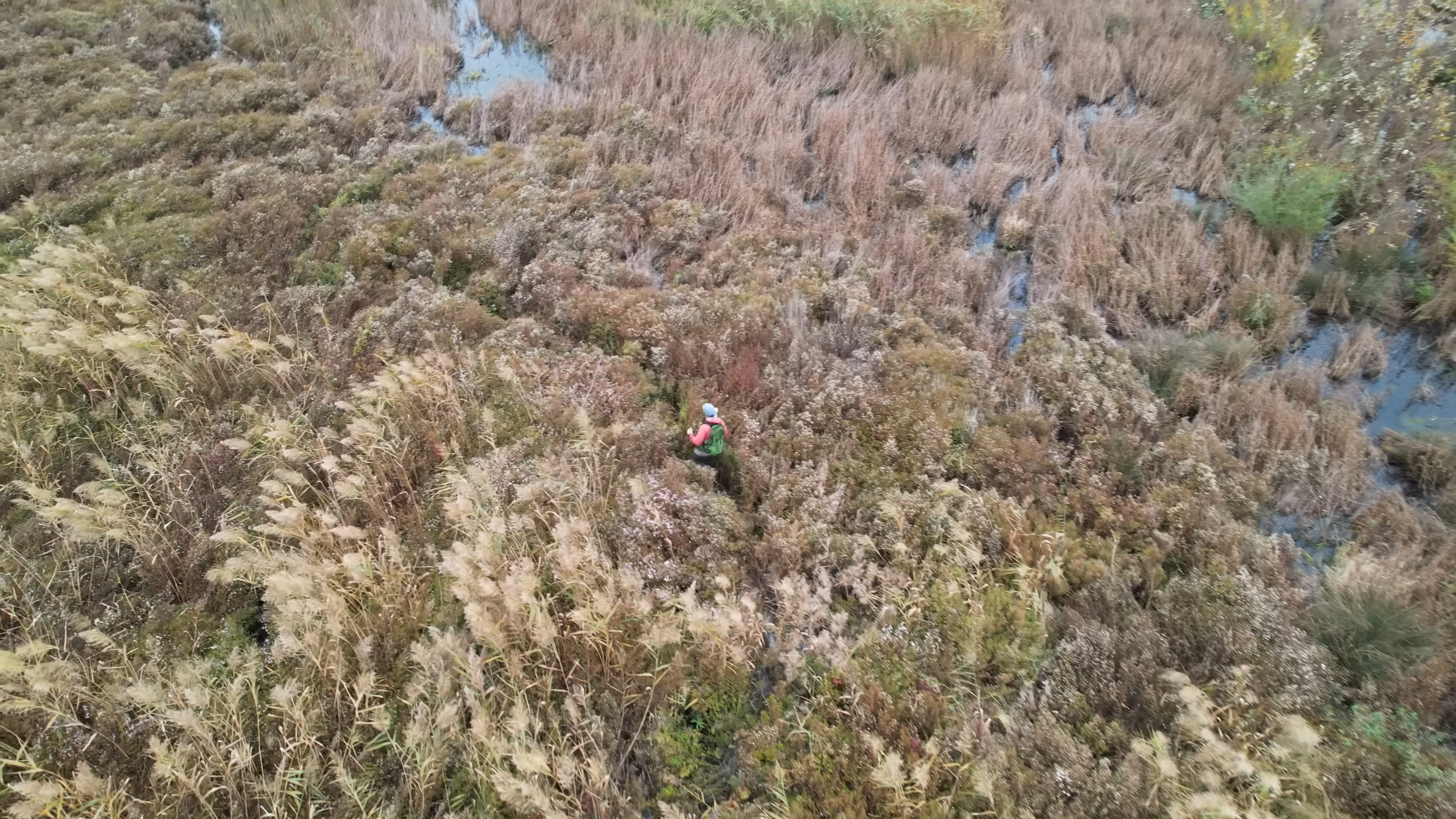 A drone shot of Duarte in the flooded field