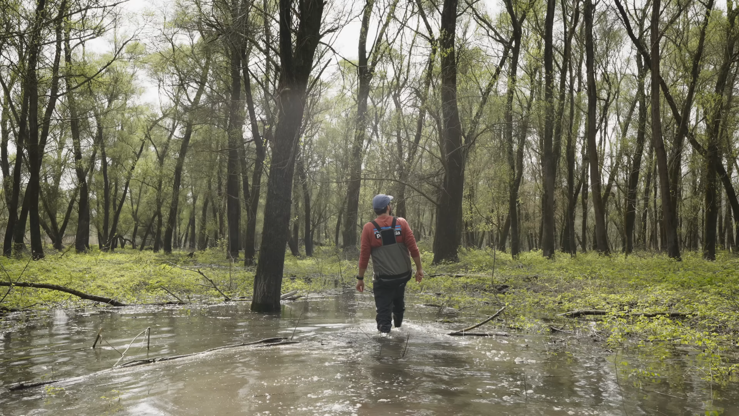 Duarte walking in the flooded forest