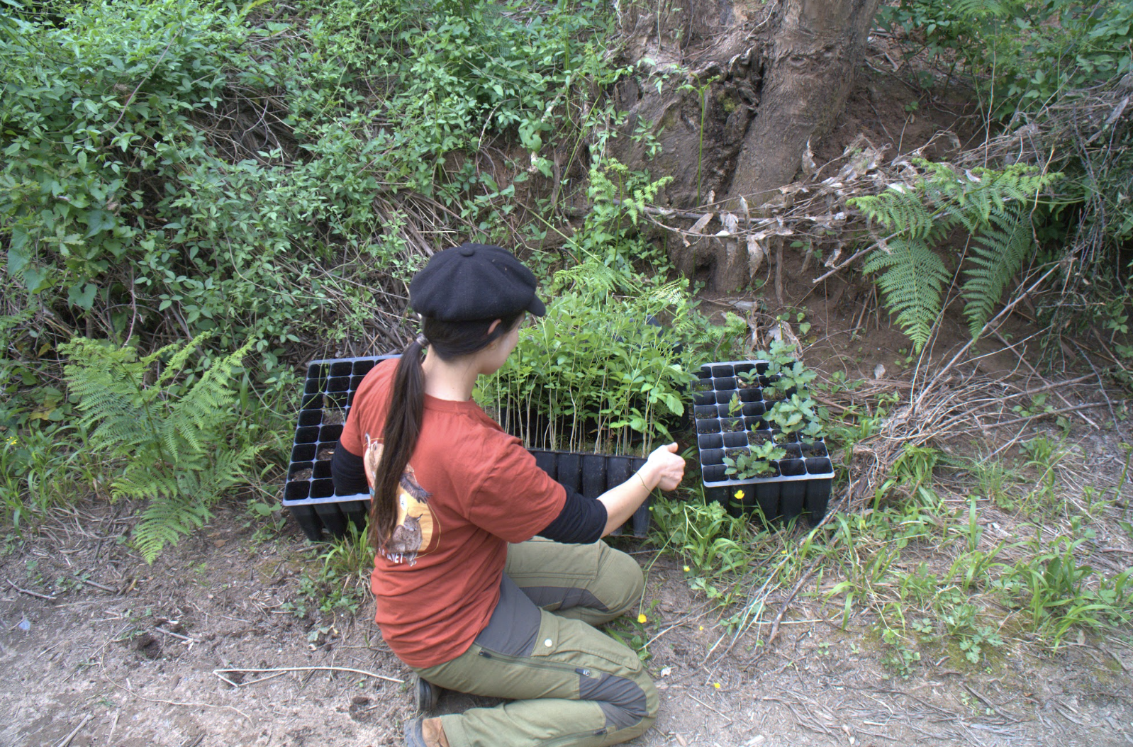 Teresa holding saplings to plant