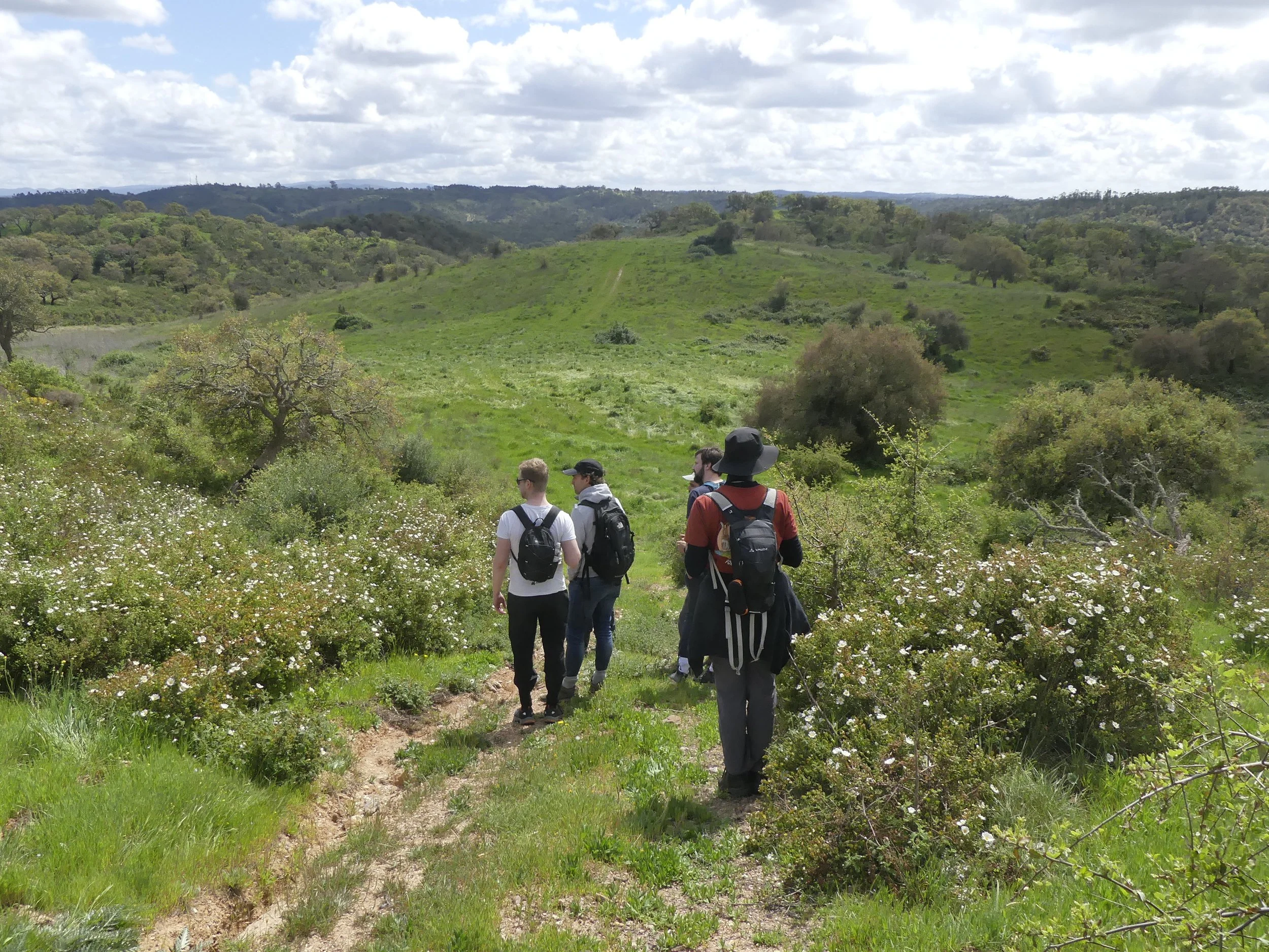 Guests hiking at our land