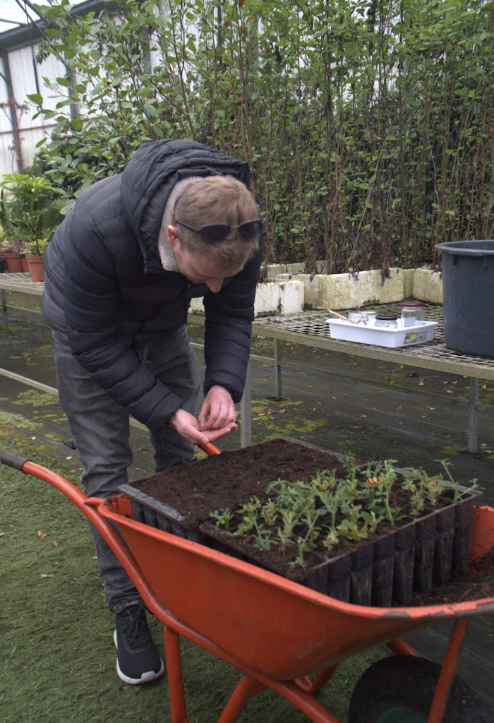 Guest propagating seeds at our plant nursery
