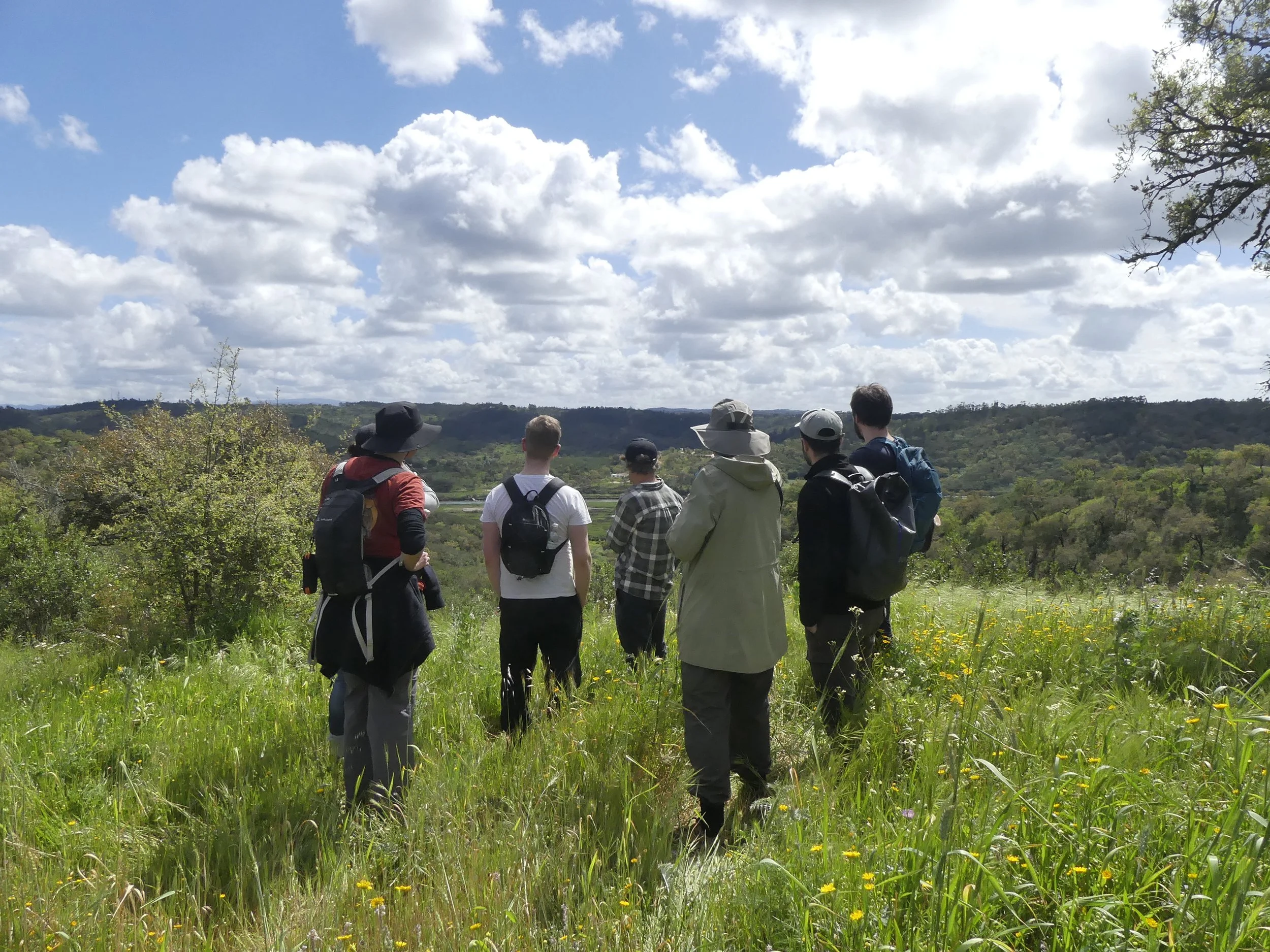 Our guests admiring the view at our land in Portugal