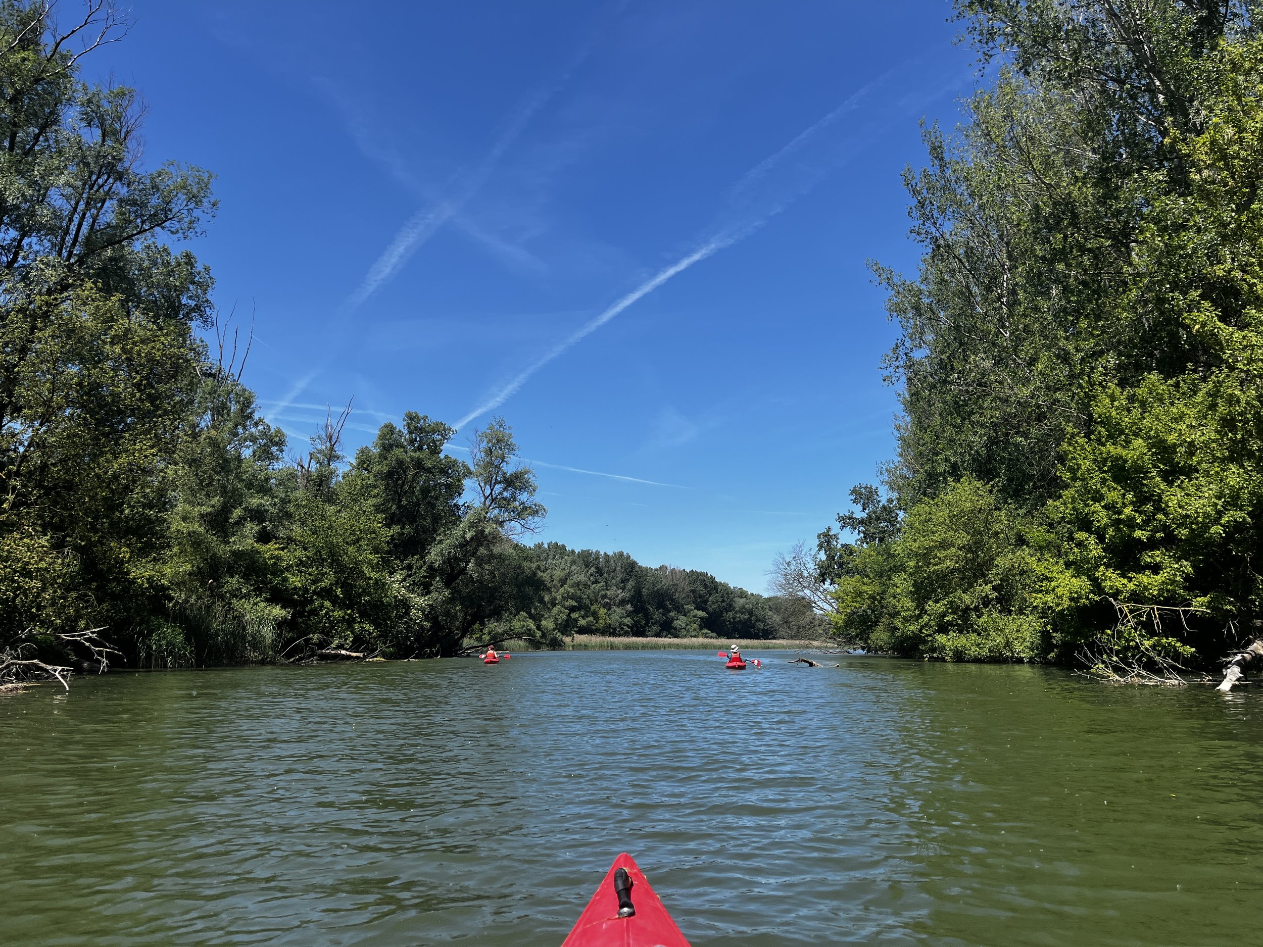 A picture of the kayak tour on the Danube
