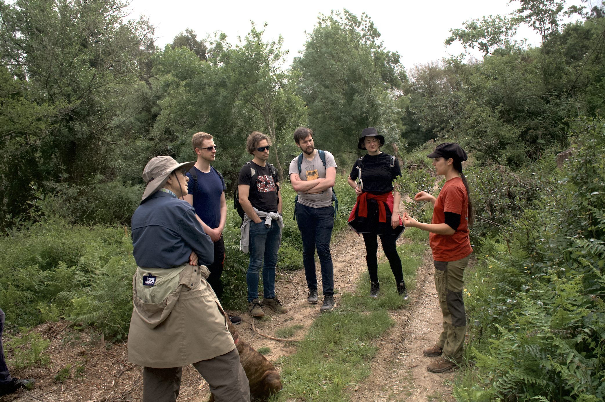 Teresa teaching our guests at our eucalpytus project in Portugal