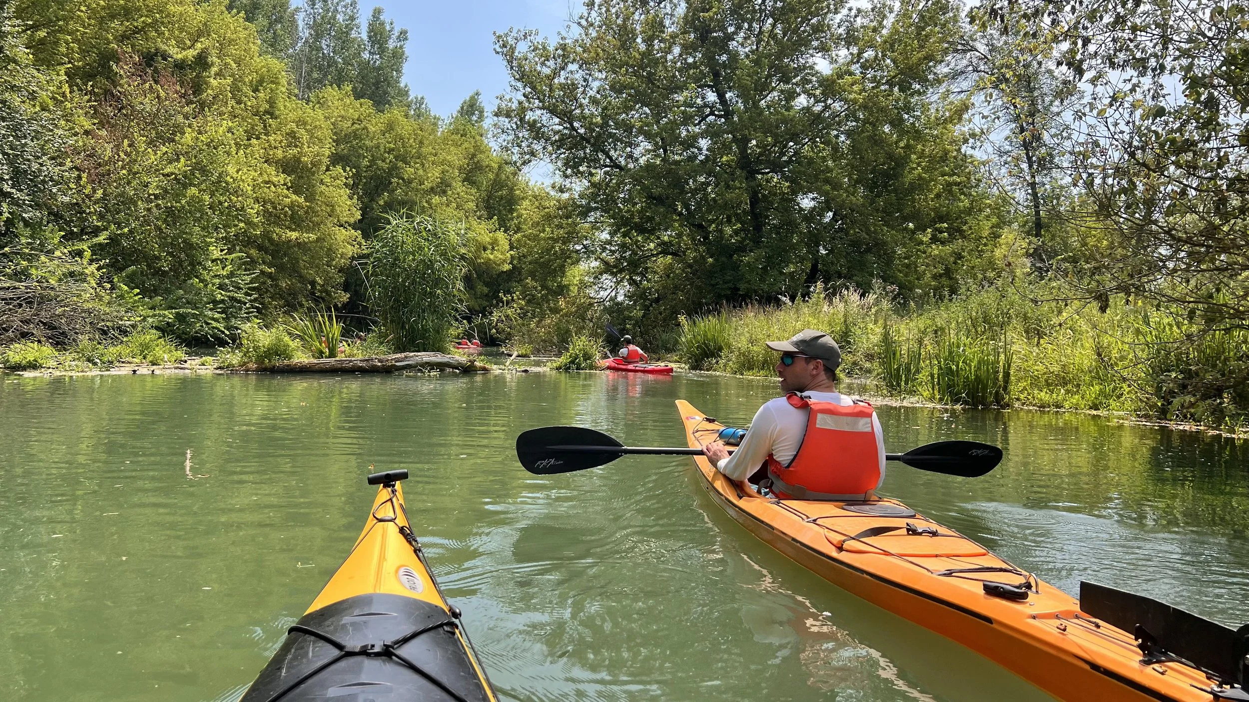 A group of guests kayaking in the Danube