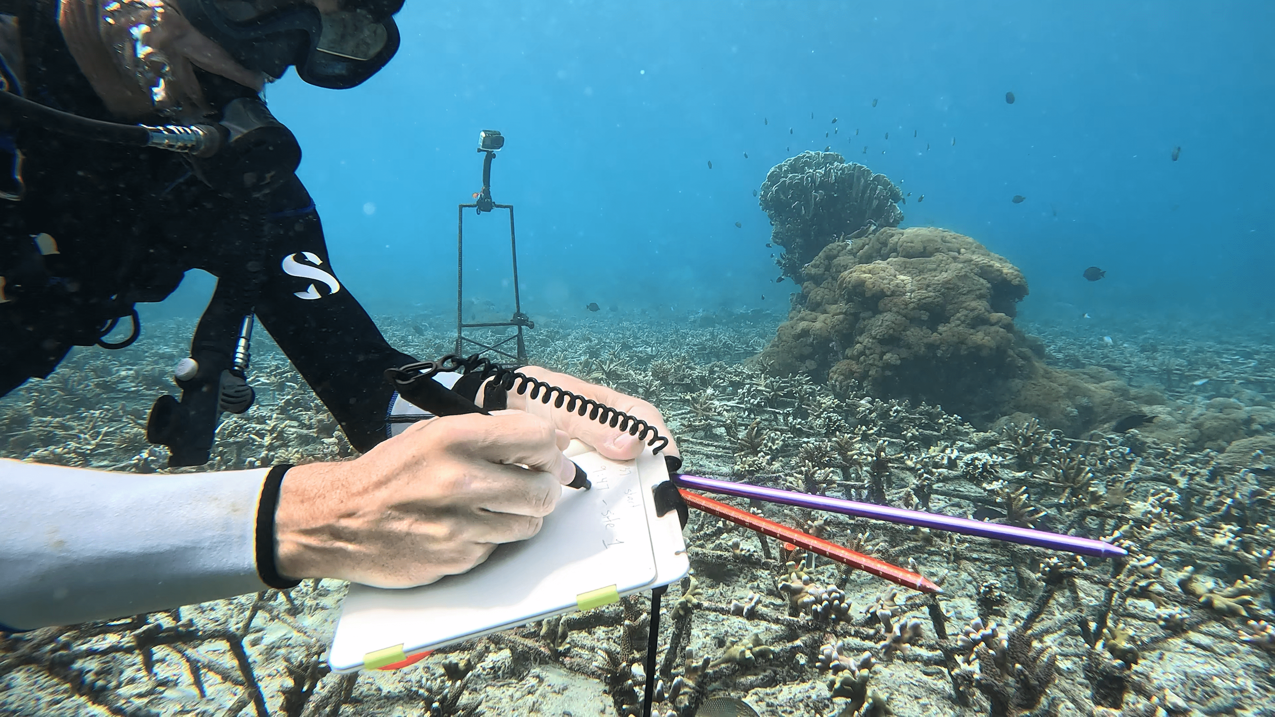 Still 2024-12-12 150800_1.45.1-min.png