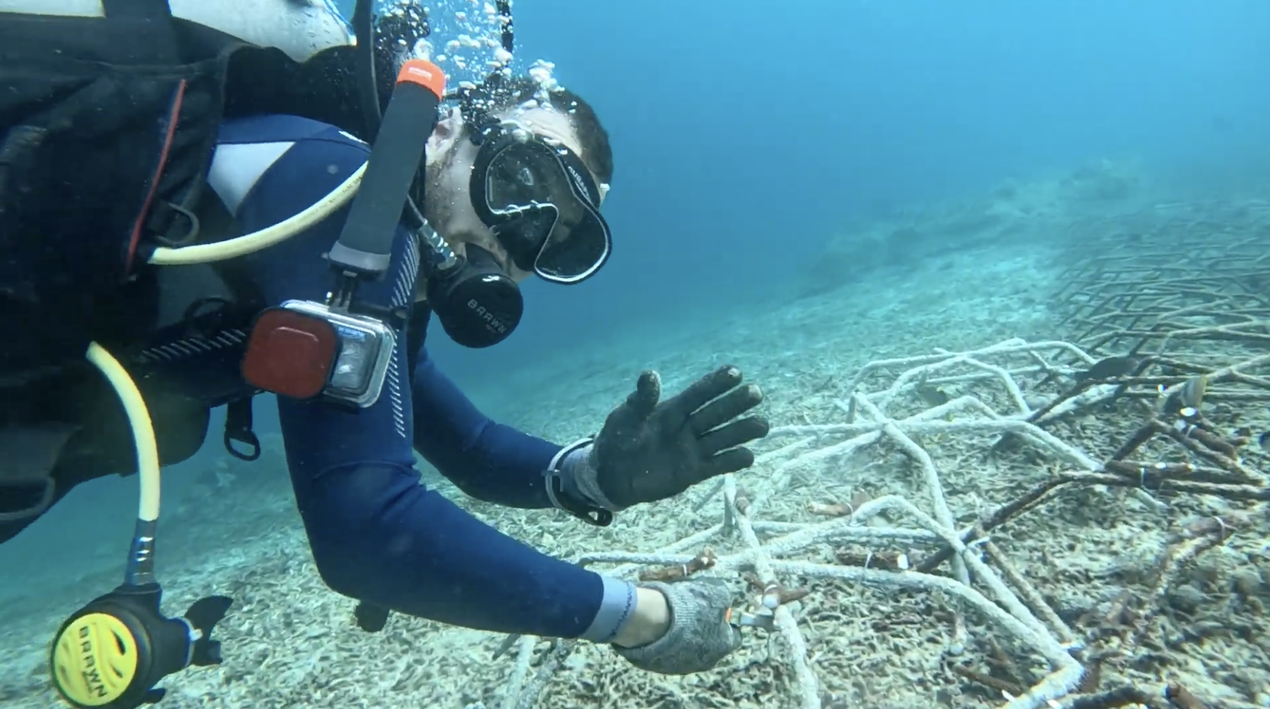 Simon saying hi while transplanting corals
