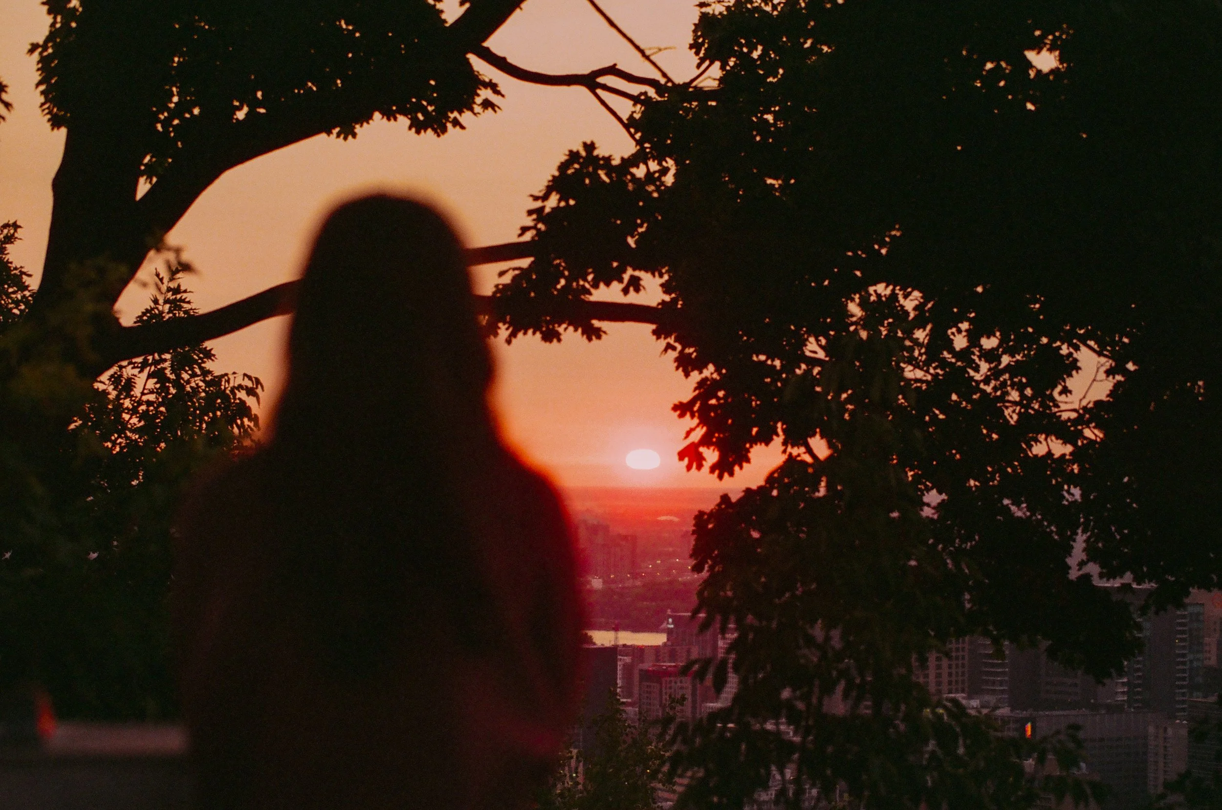 film-9.jpg