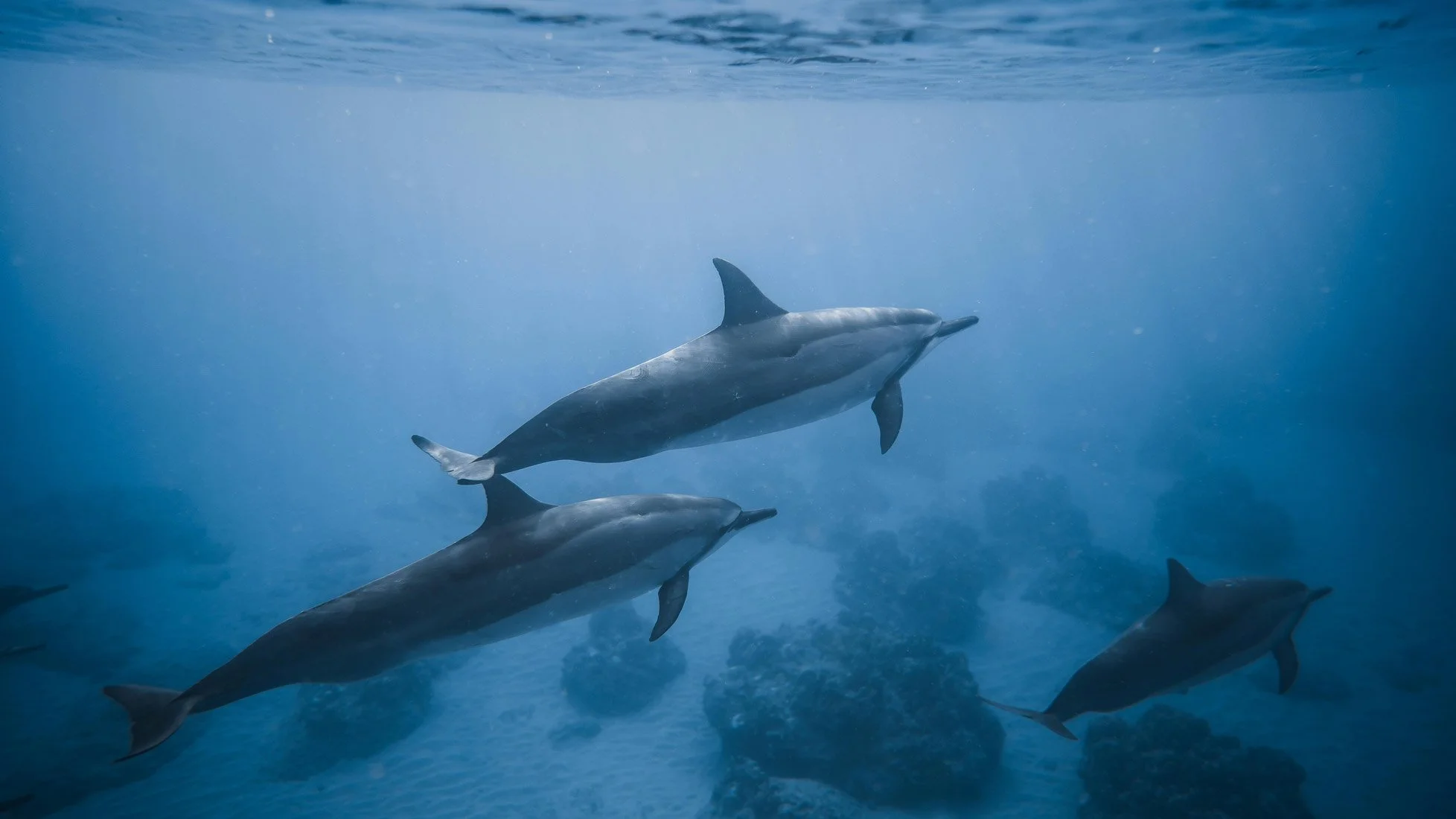 Fishing for Fairness: Why Small-Scale Fishers Deserve a Bigger Voice in the Blue Economy