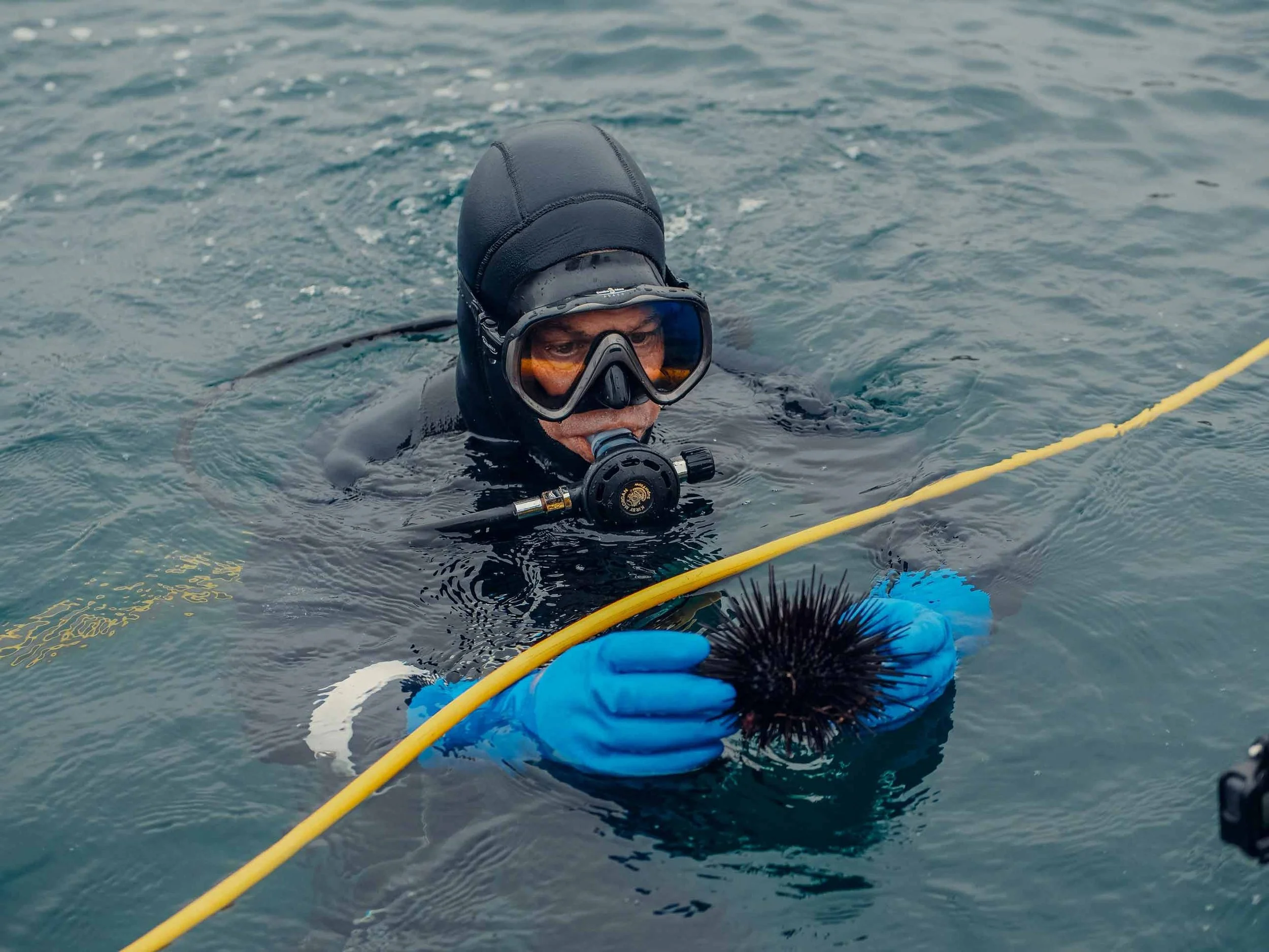 Beyond the Shoreline: The Emotional Cost of Being “The Only One” in Ocean Spaces