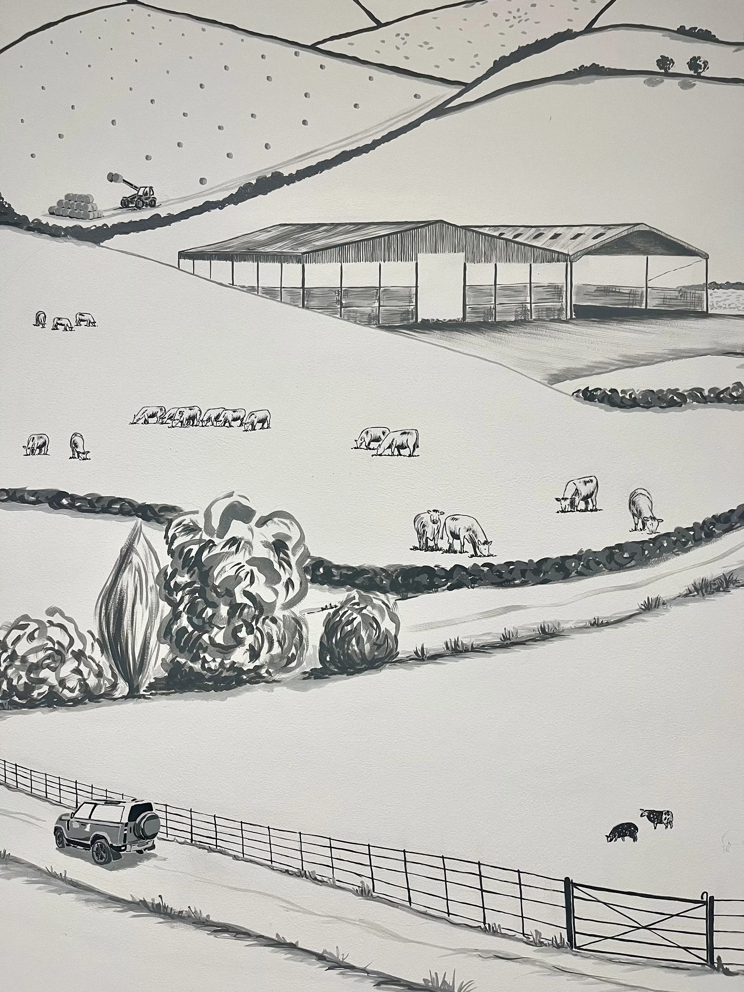 Murals